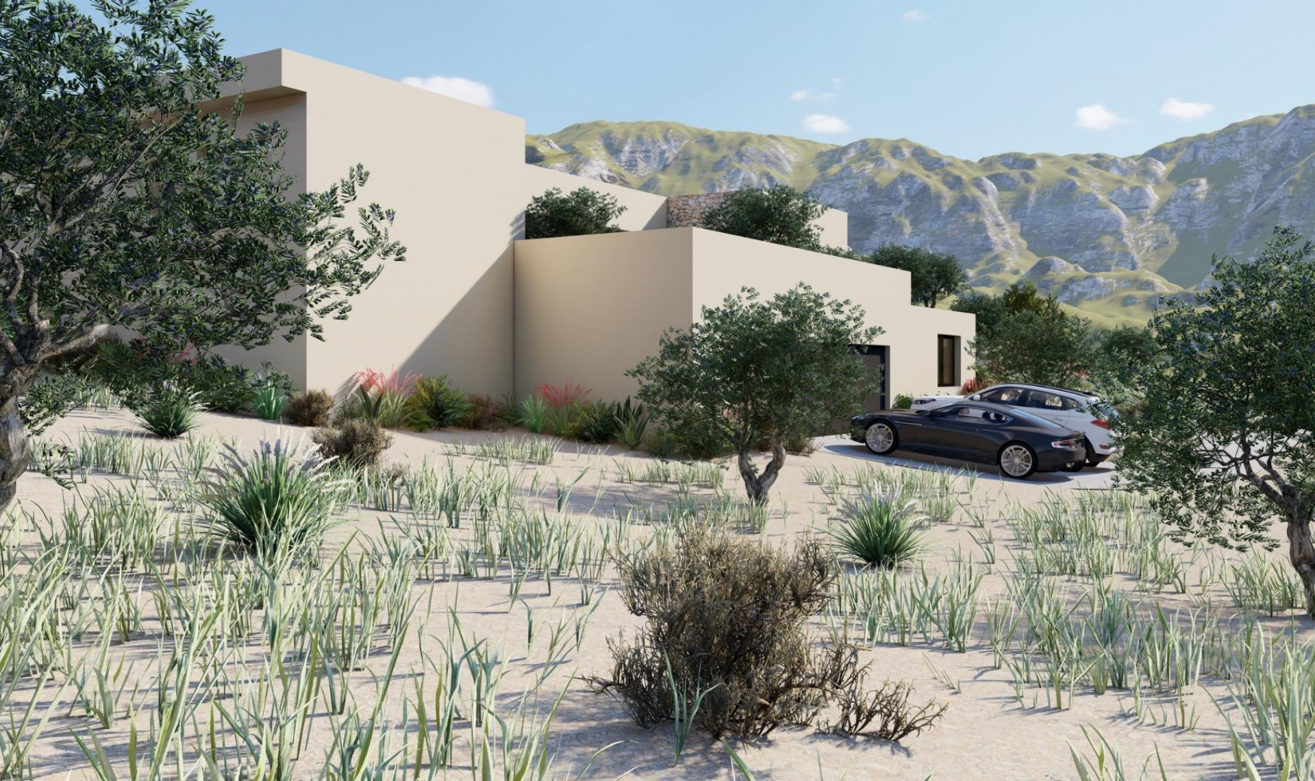 New Build - Villa -
Yecla