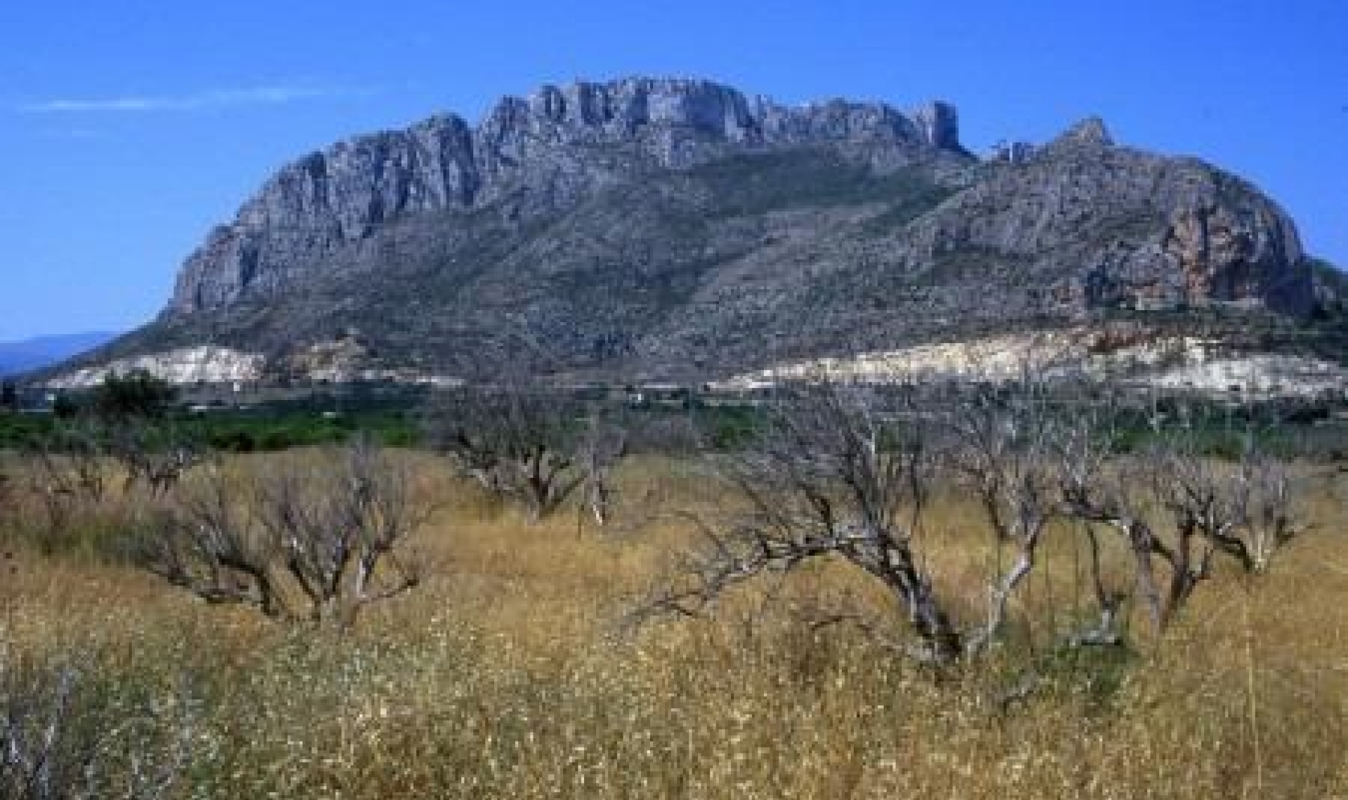 Novostavba - Apartment -
Denia - El Verger
