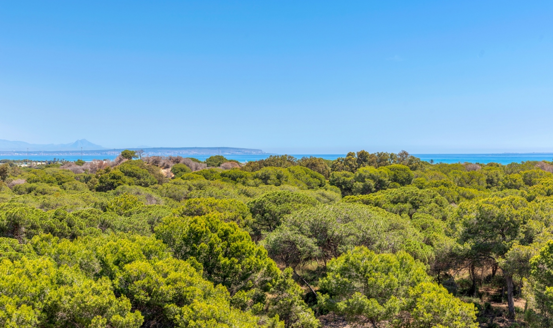 Novostavba - Apartment -
Guardamar del Segura - Puerto Deportivo