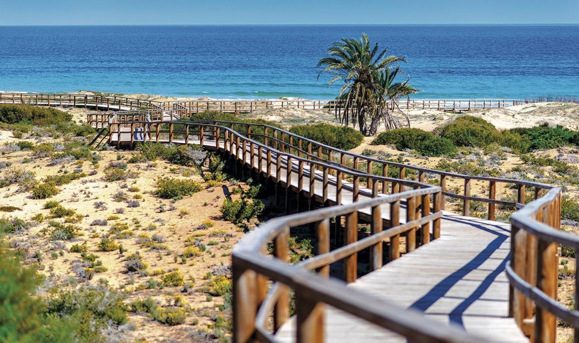 Novostavba - Apartment -
Monforte del Cid - Alenda Golf