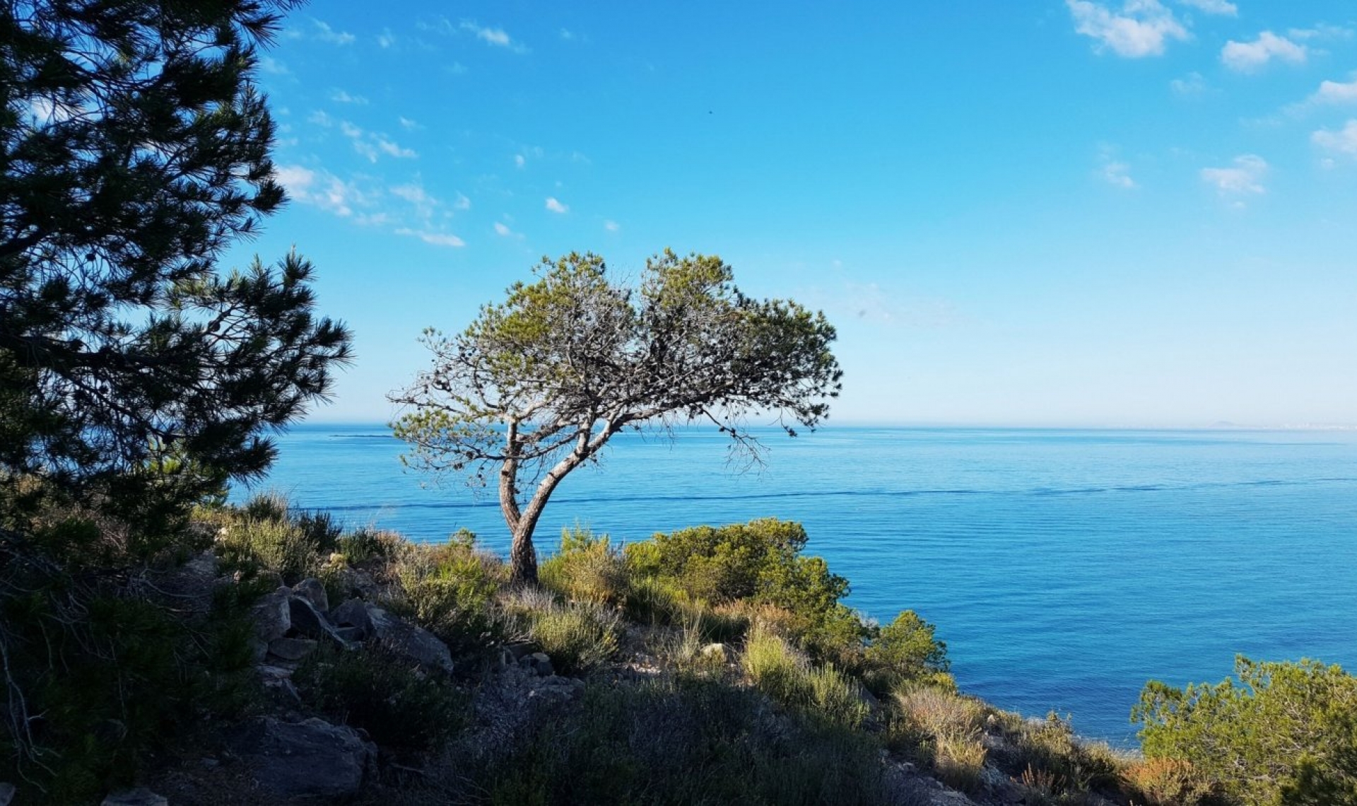 Novostavba - Apartment -
Villajoyosa - Playa Les Torres