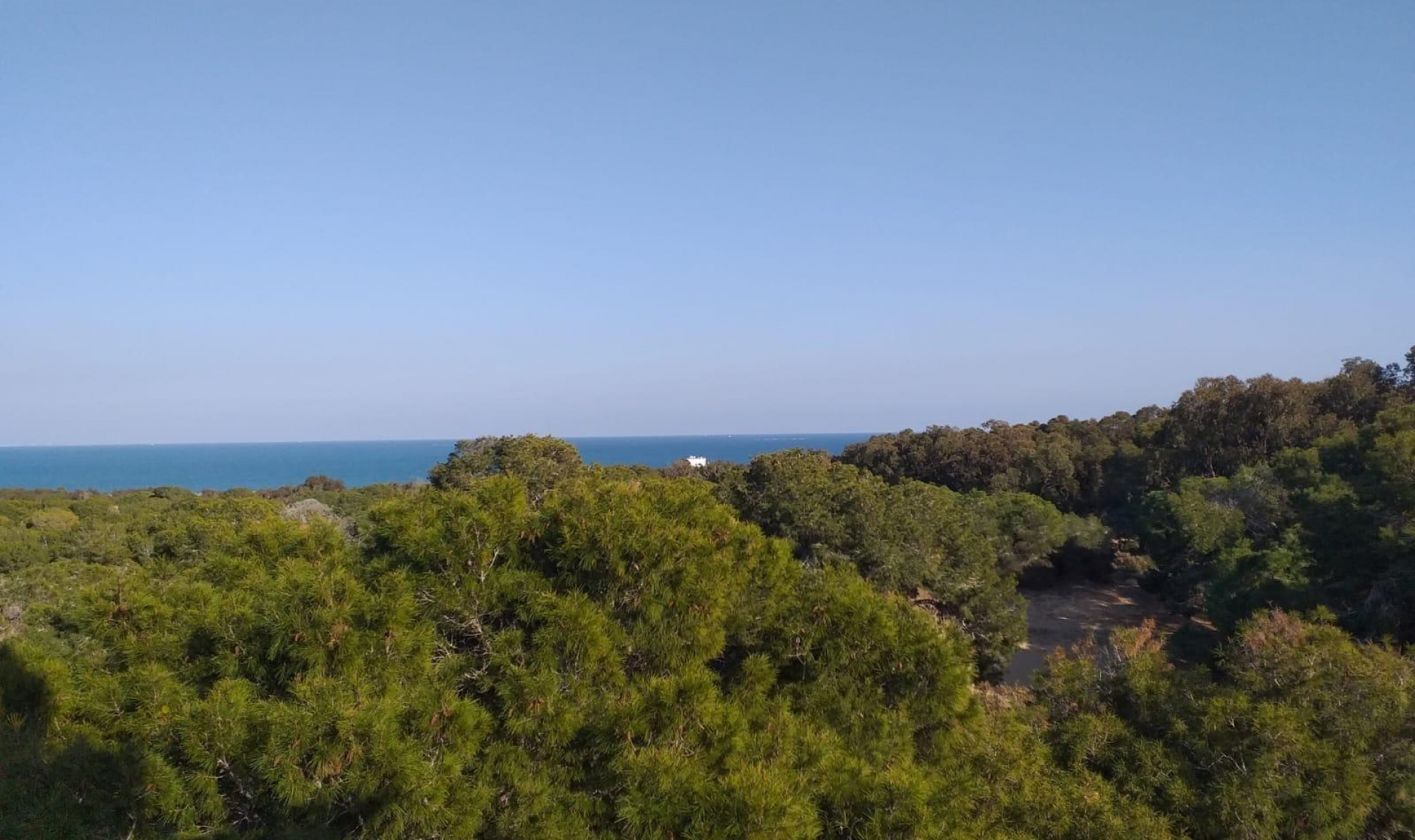 Novostavba - Ground floor apartment -
Guardamar del Segura - Pueblo