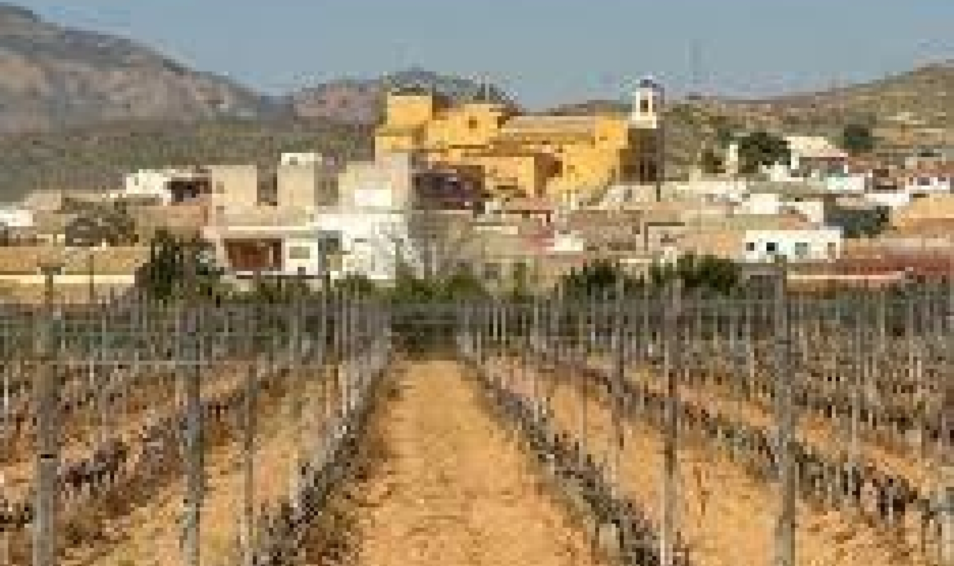 Novostavba -  -
Hondón de las Nieves - El Salero