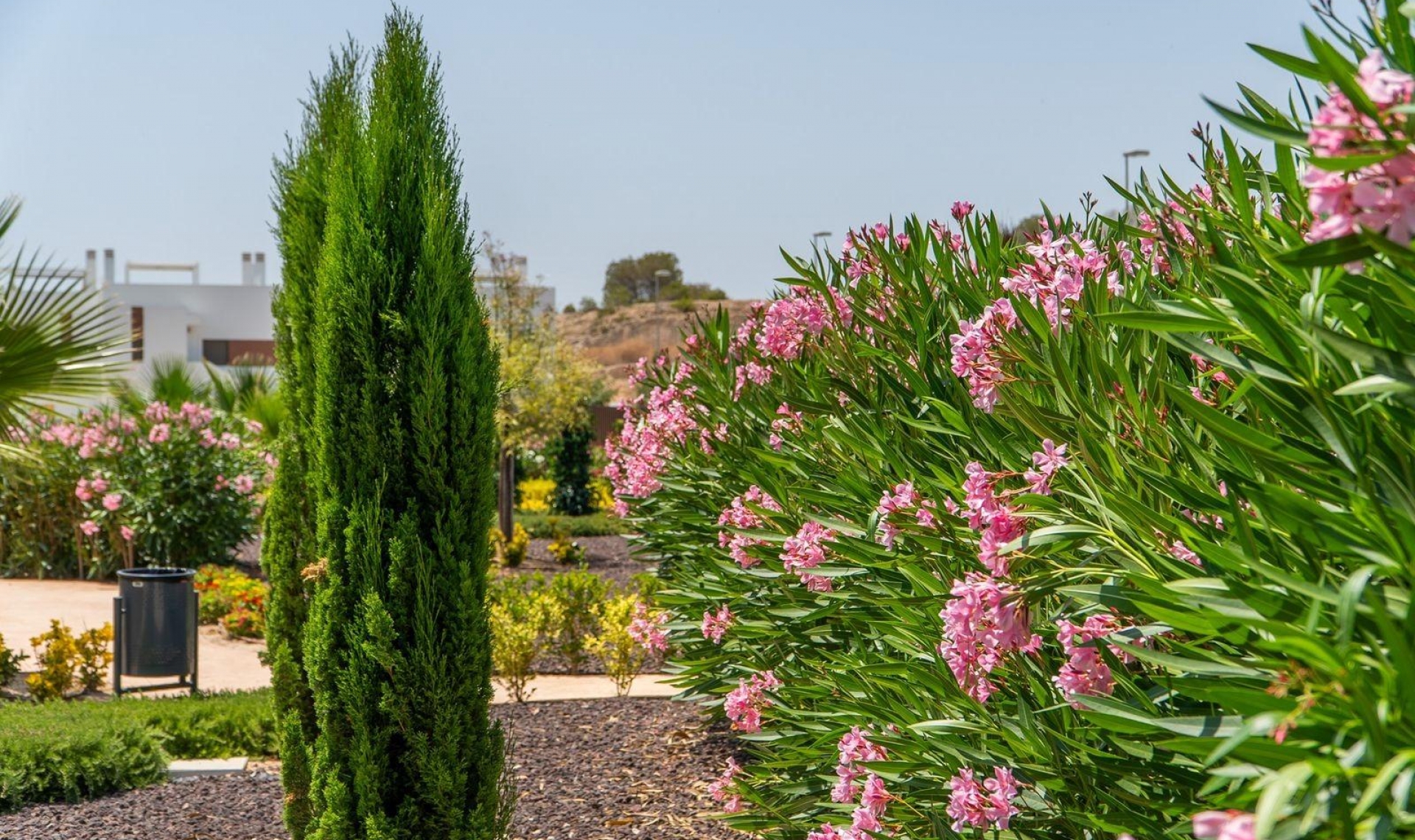 Novostavba -  -
Orihuela - Vistabella Golf