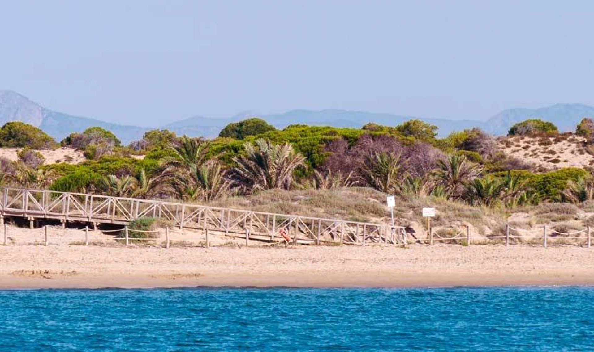 Novostavba - Penthouse -
Guardamar del Segura - Pueblo