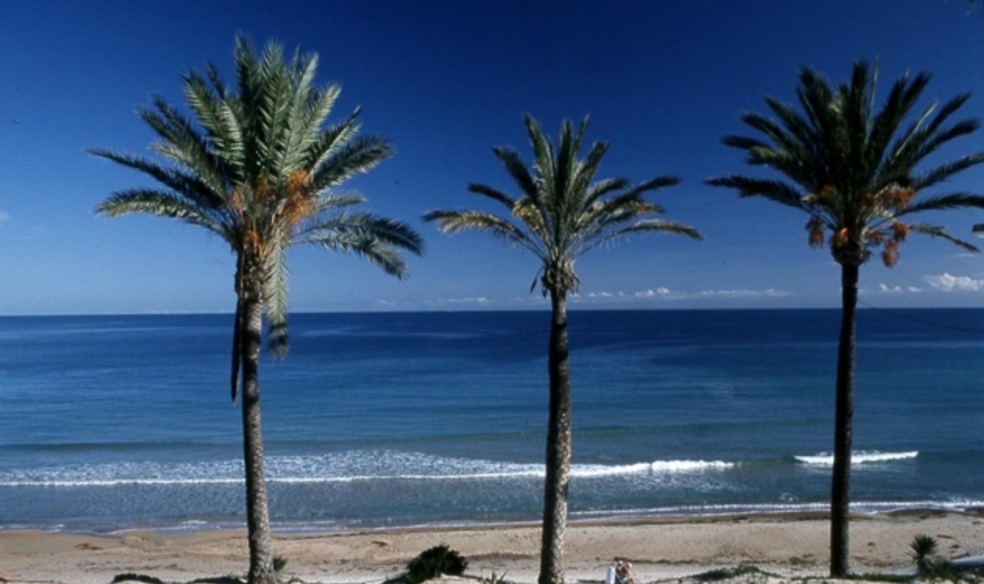 Novostavba -  -
Pilar de la Horadada - Parque Ramon eugenio Escudero