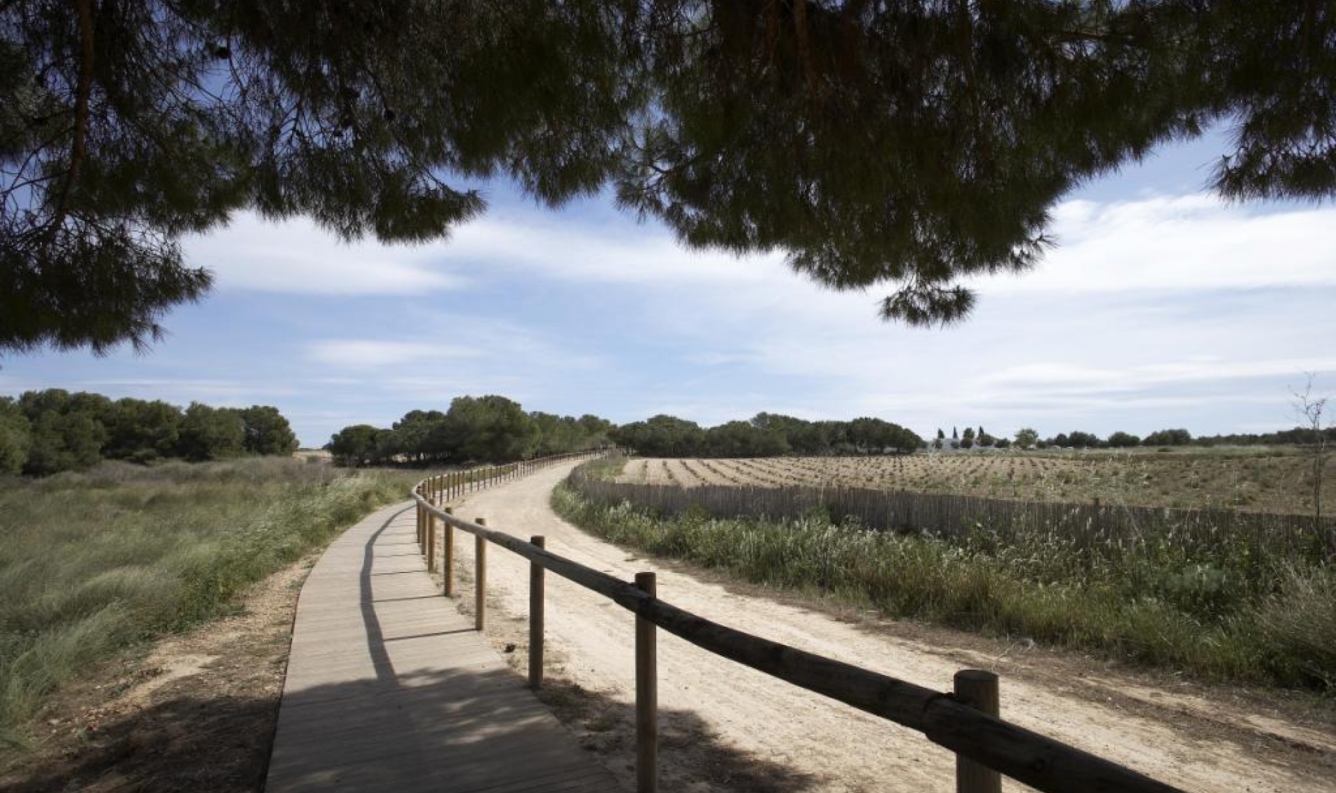 Novostavba -  -
Torrevieja - Altos del Sol