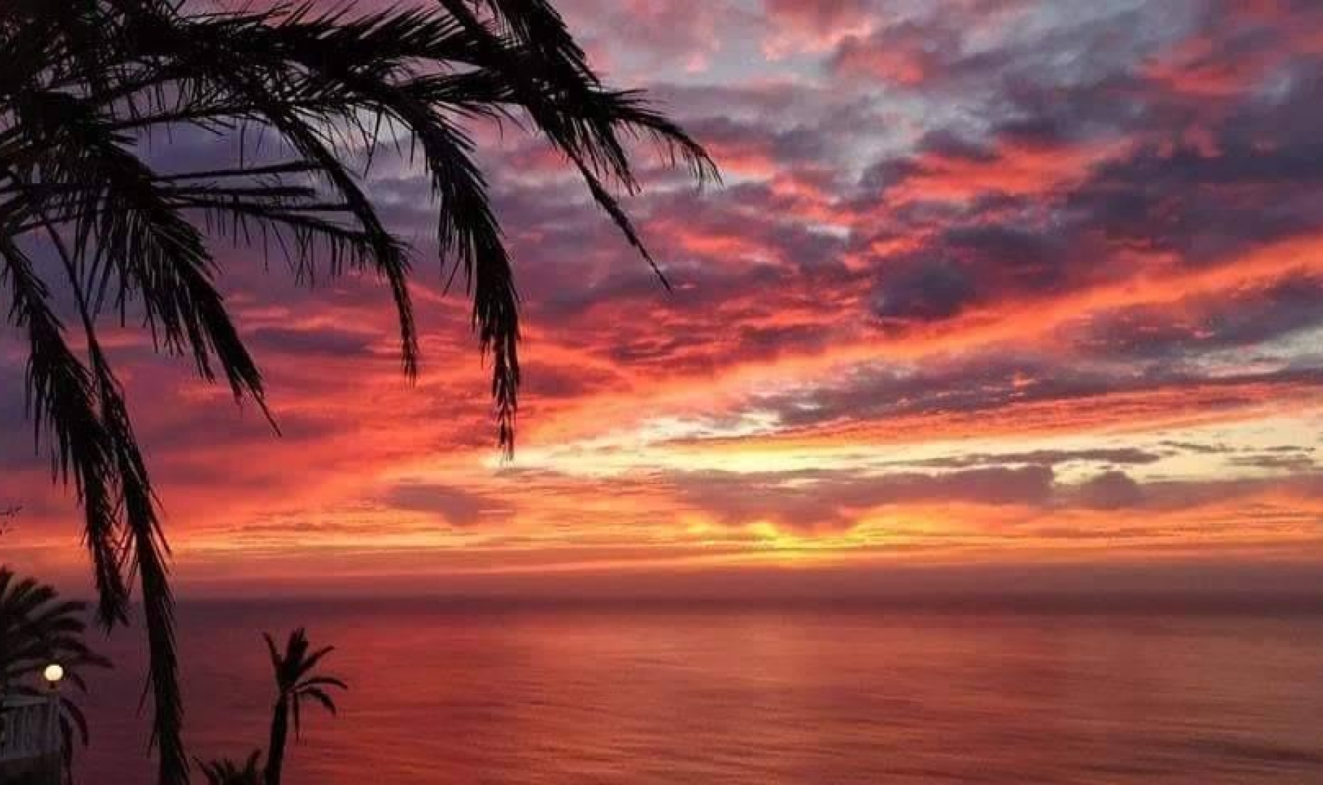 Novostavba -  -
Torrevieja - Altos del Sol