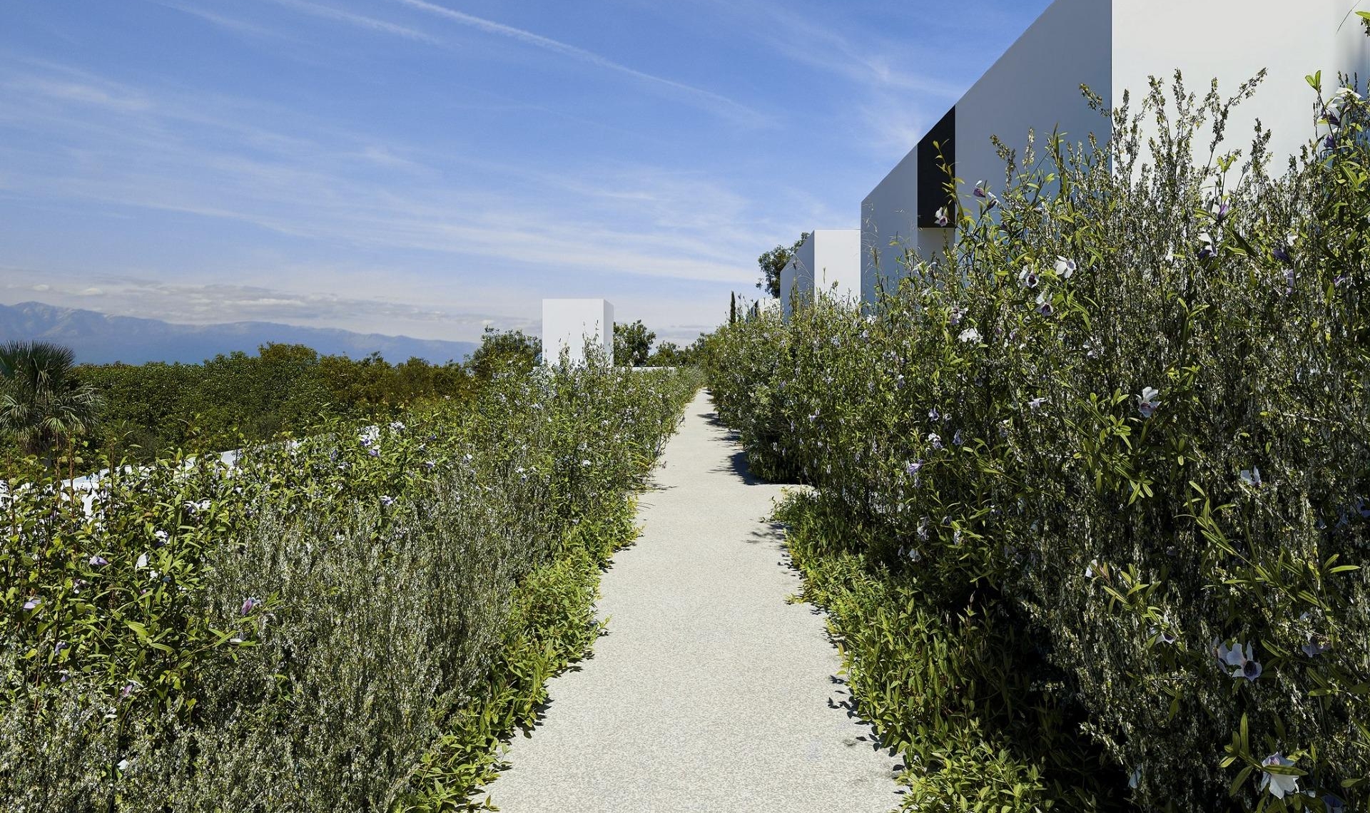 Novostavba - Vila -
Alfas del Pí - Barranc Fondo