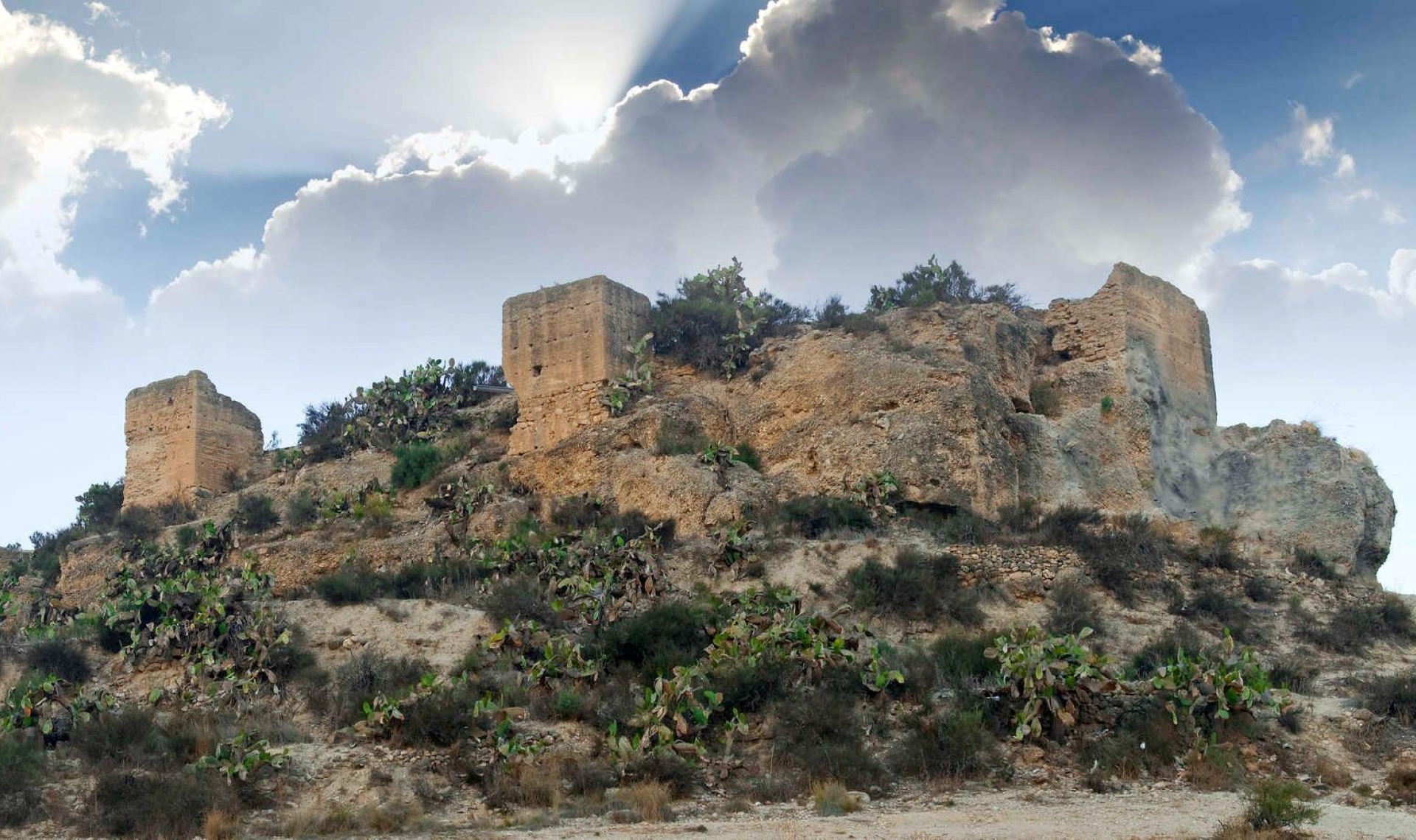 Novostavba - Vila -
Aspe - Centro