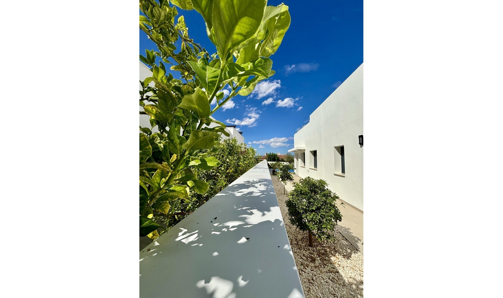 Novostavba - Vila -
Benijofar - Pueblo