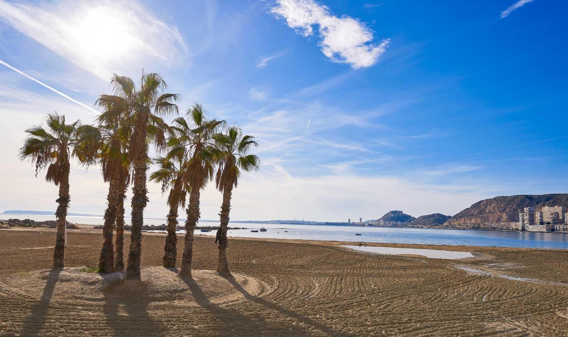 Novostavba - Vila -
Els Poblets - Partida Barranquets