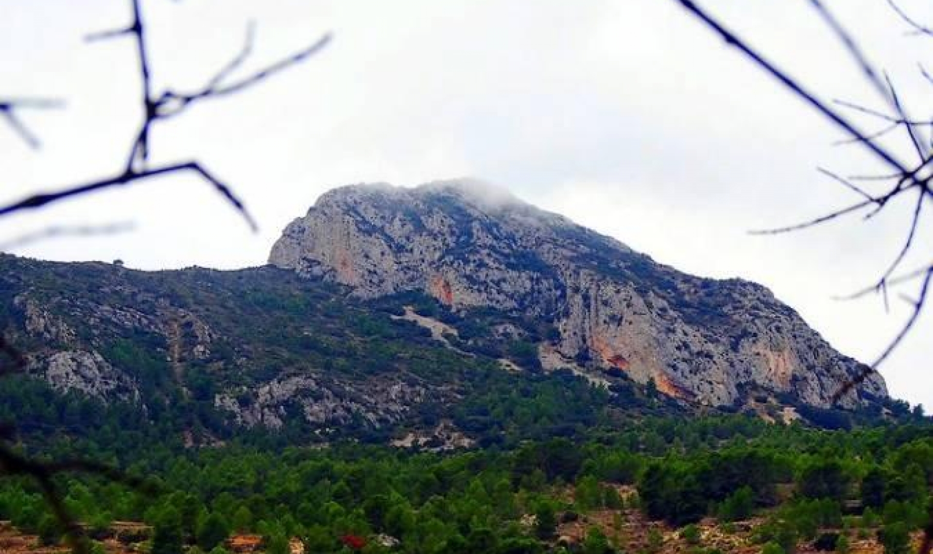 Novostavba - Vila -
La Romana - Batistes