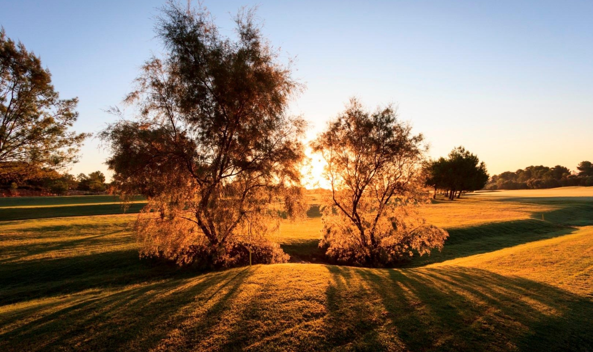 Novostavba - Vila -
Pilar de la Horadada - Lo Romero Golf