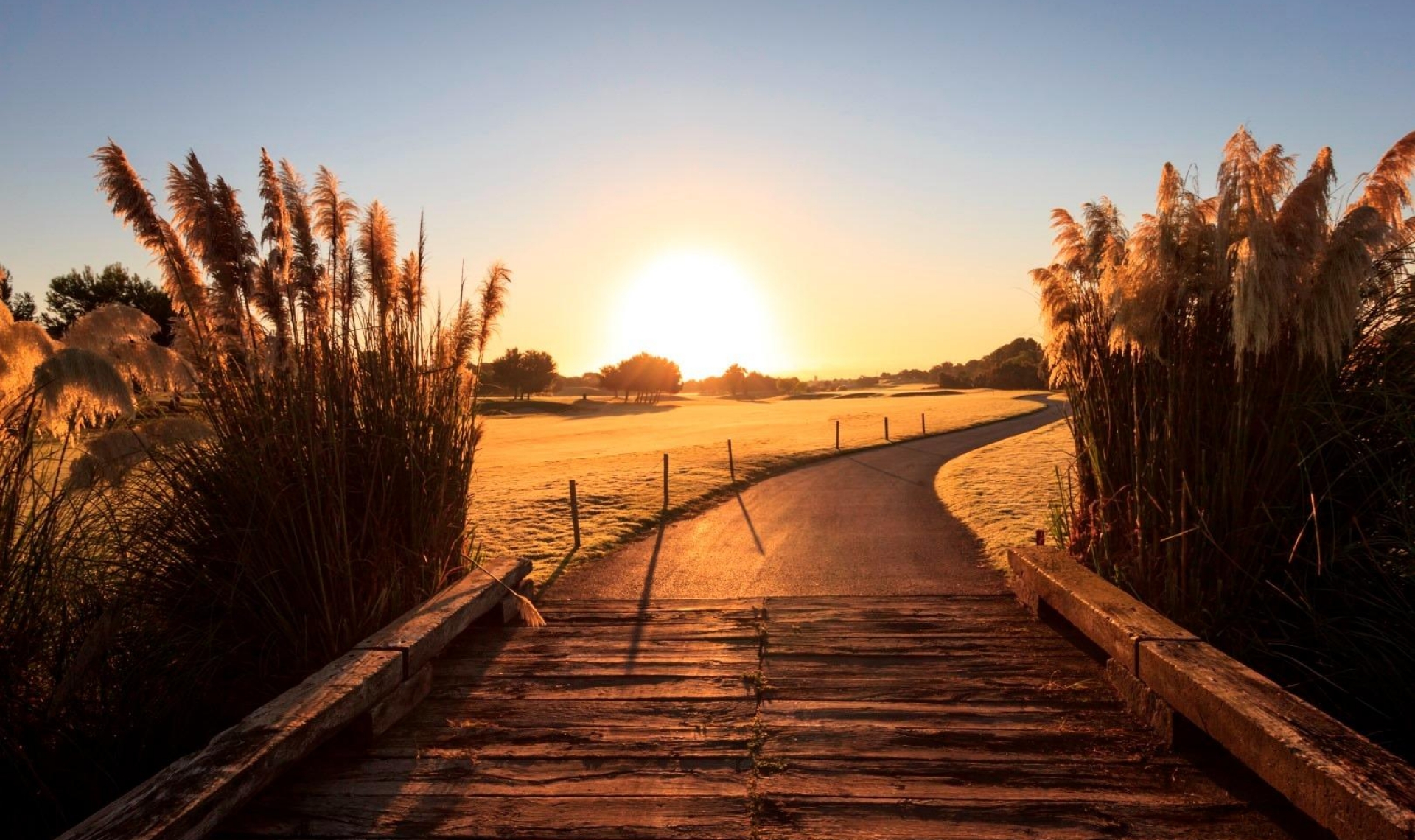 Novostavba - Vila -
Pilar de la Horadada - Lo Romero Golf