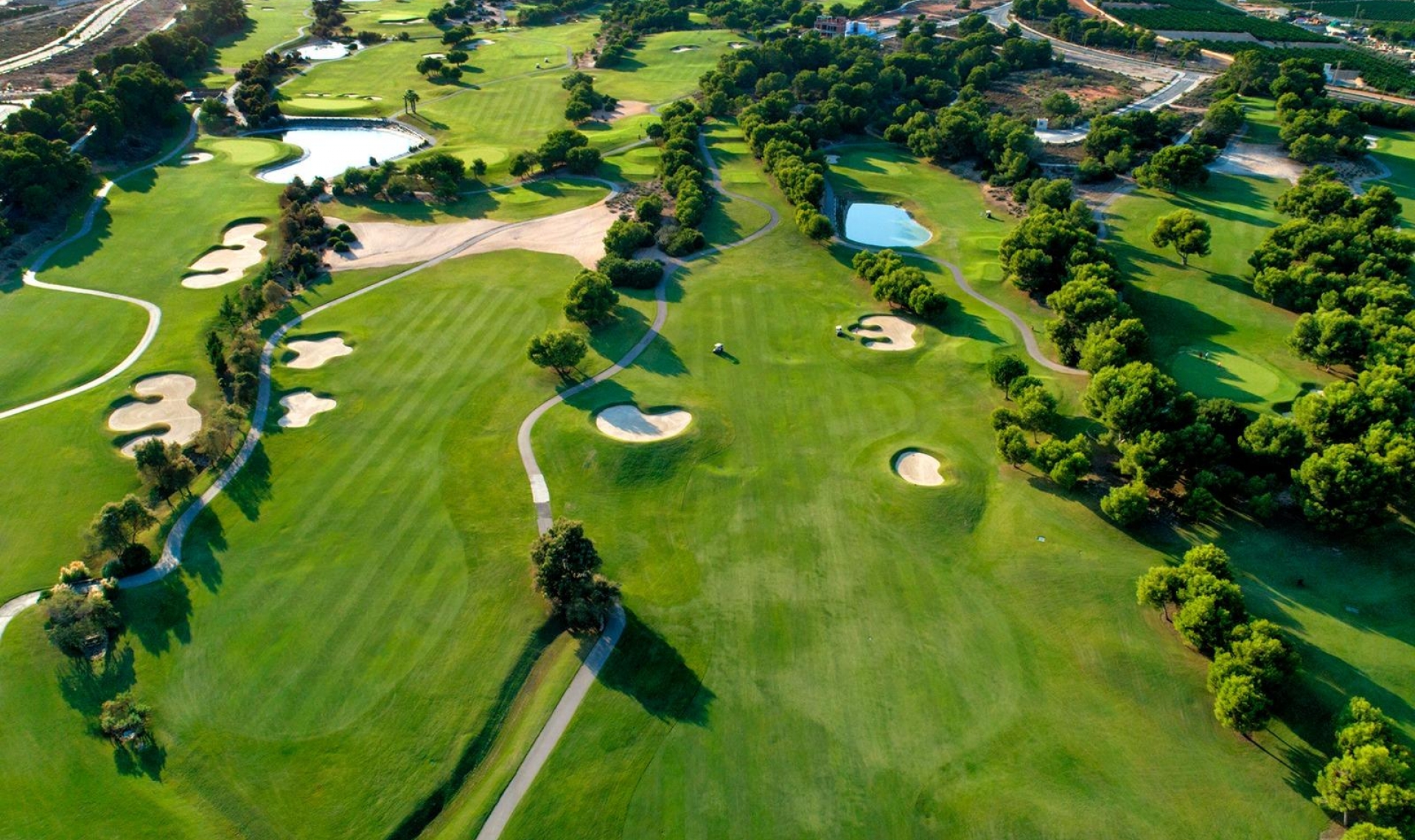 Novostavba - Vila -
Pilar de la Horadada - Lo Romero Golf