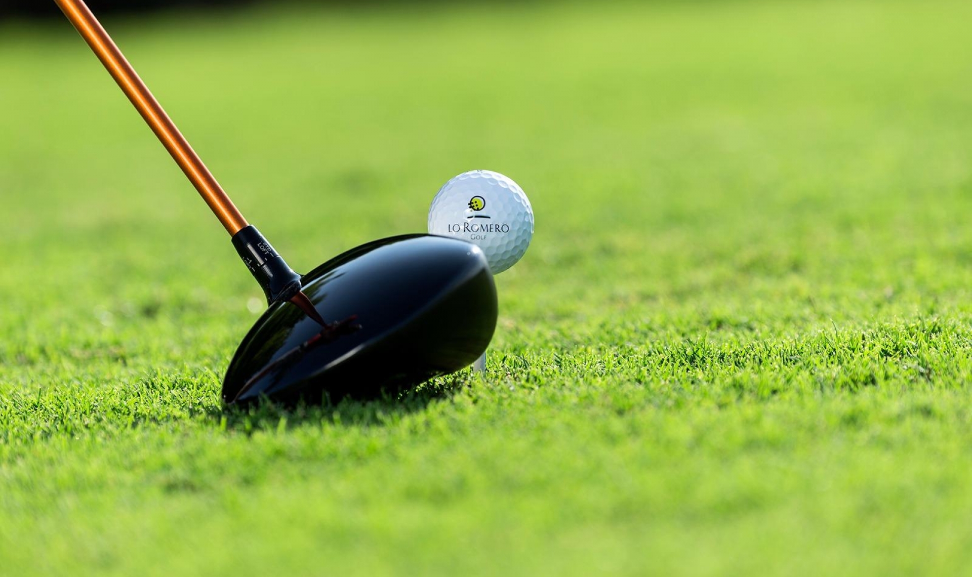 Novostavba - Vila -
Pilar de la Horadada - Lo Romero Golf