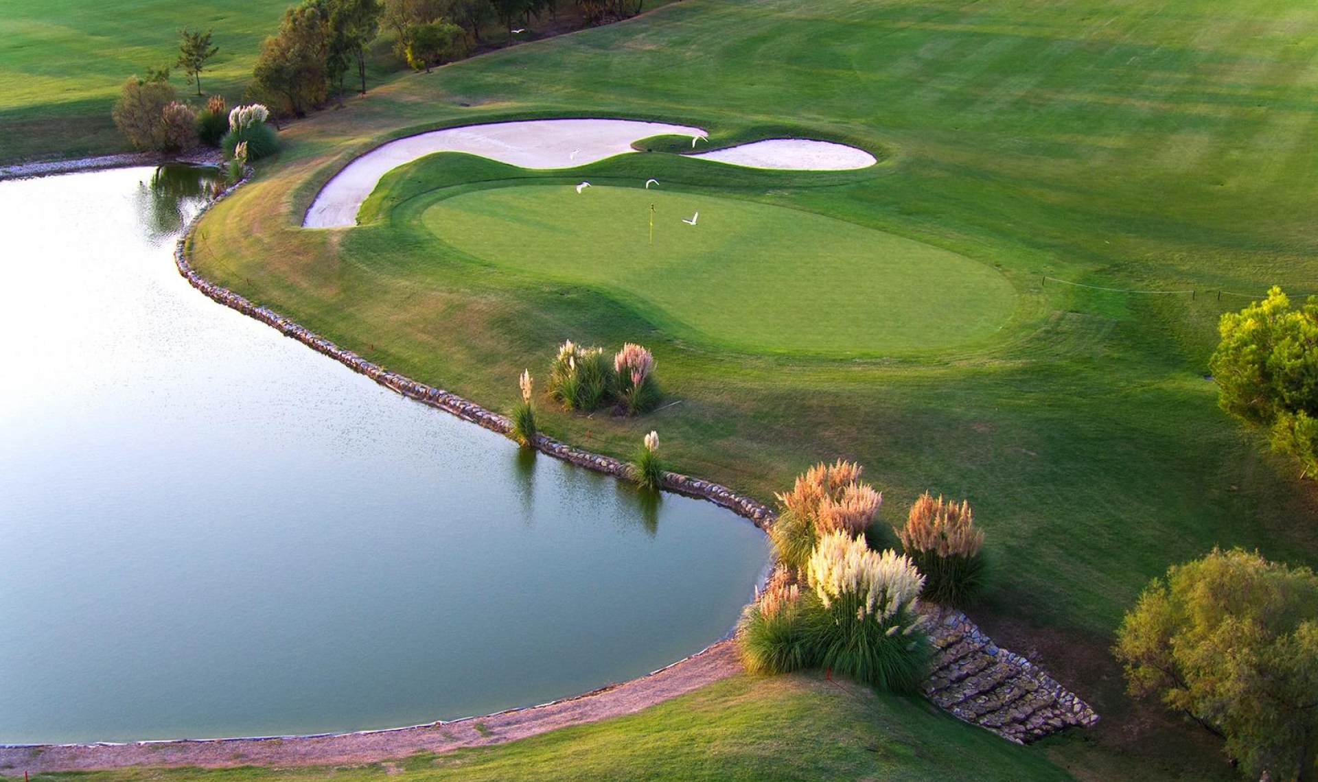 Novostavba - Vila -
Pilar de la Horadada - Lo Romero Golf