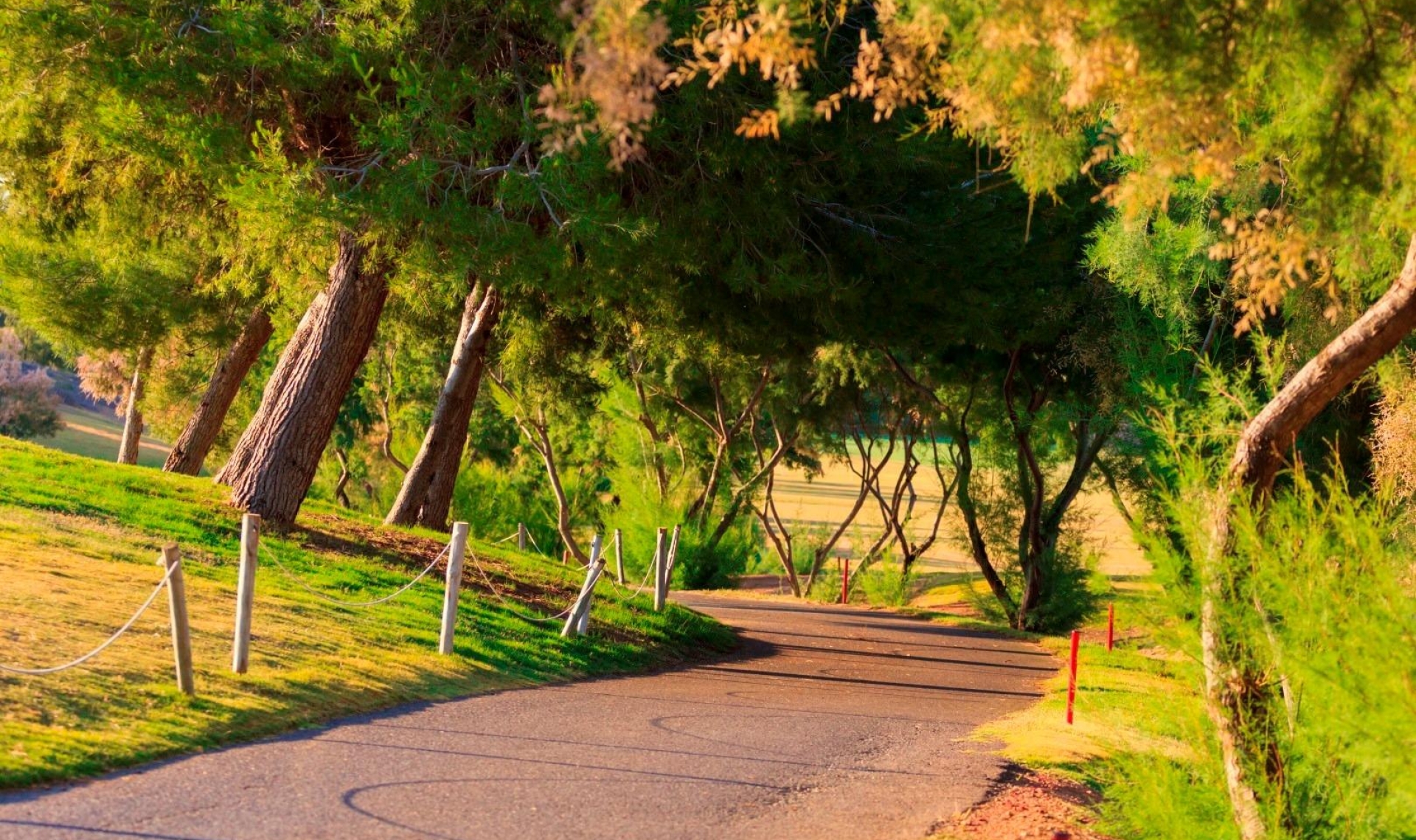 Novostavba - Vila -
Pilar de la Horadada - Lo Romero Golf