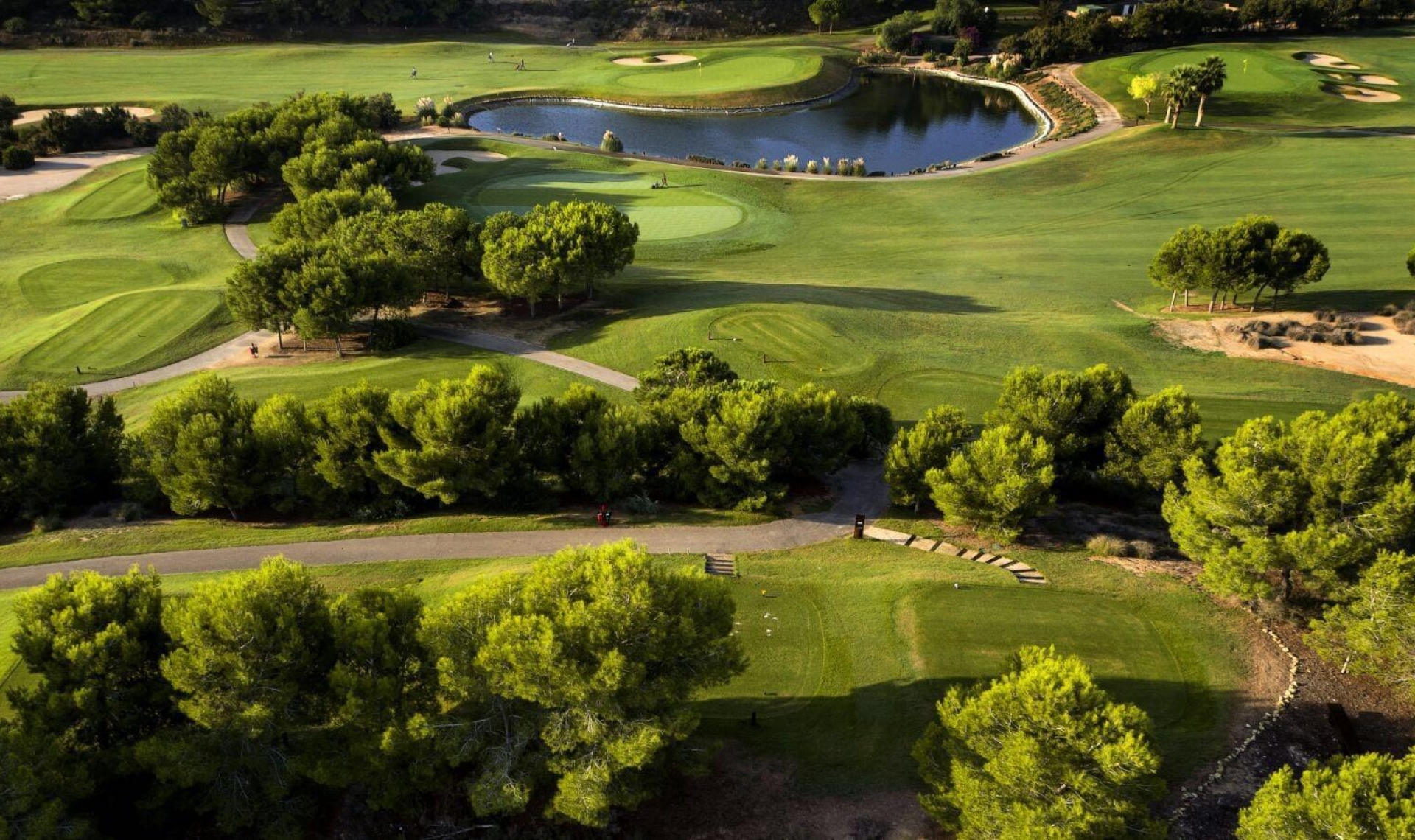 Novostavba - Vila -
Pilar de la Horadada - Lo Romero Golf