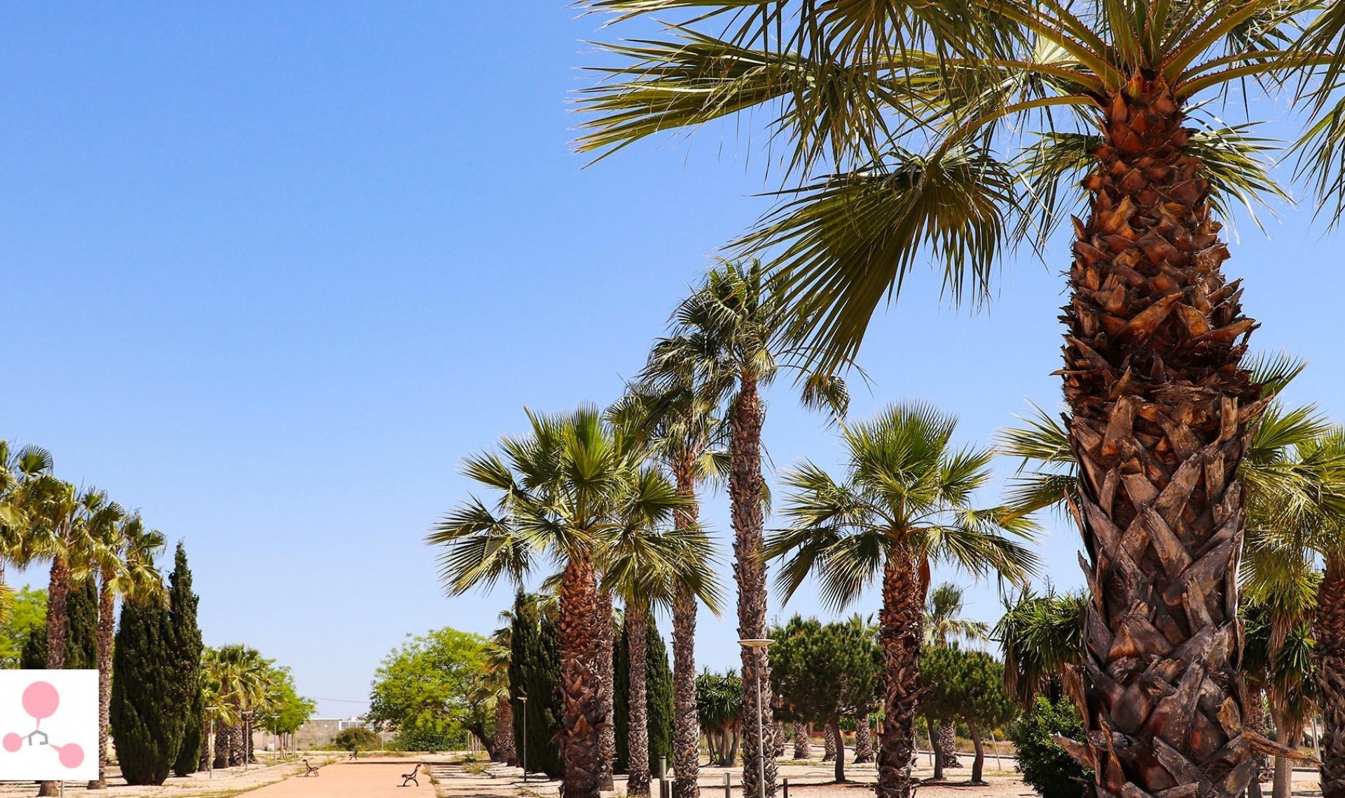 Novostavba - Vila -
San Fulgencio - La Escuera