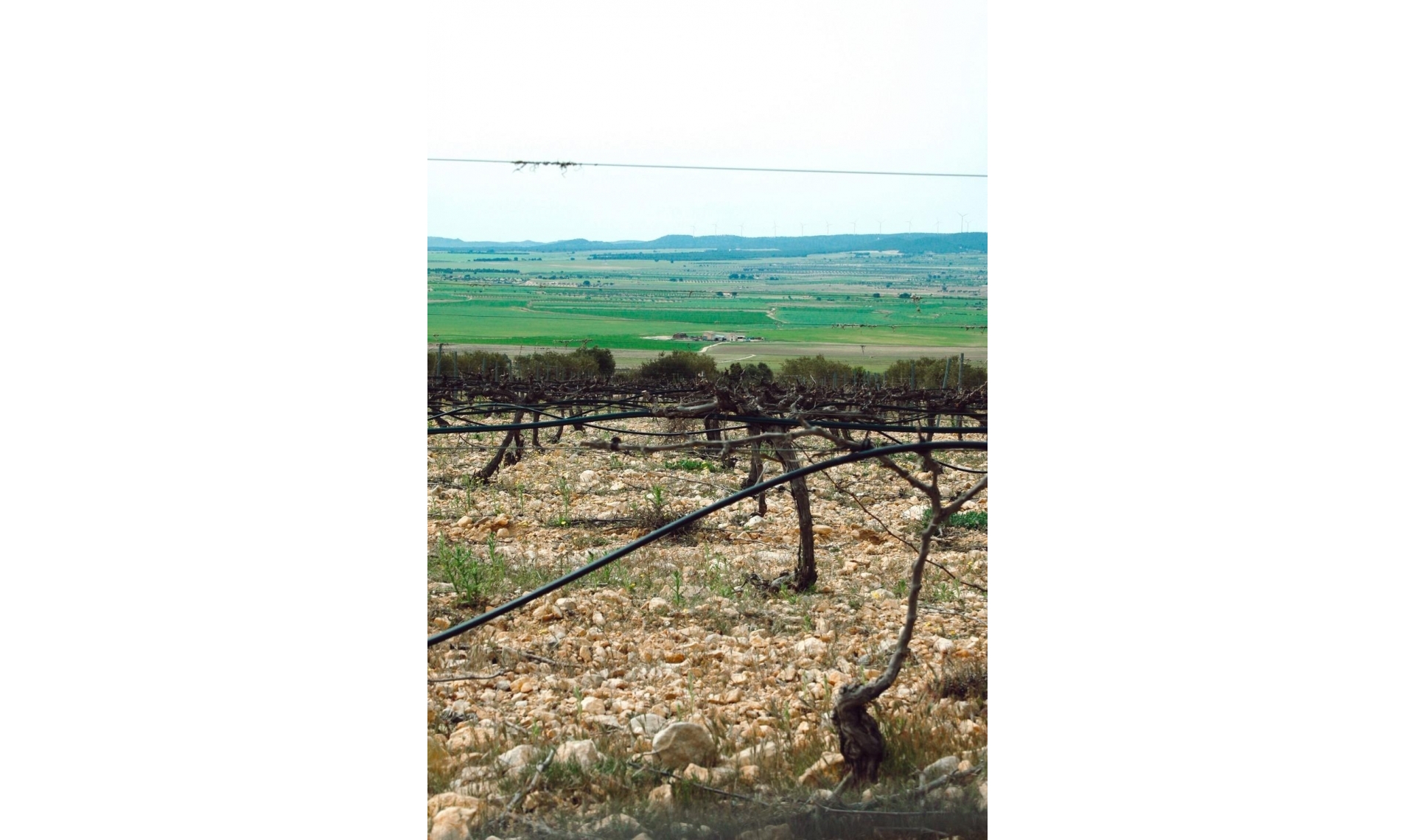 Novostavba - Vila -
Yecla