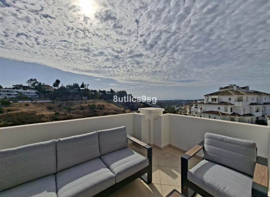 Resale - Apartment -
Aloha