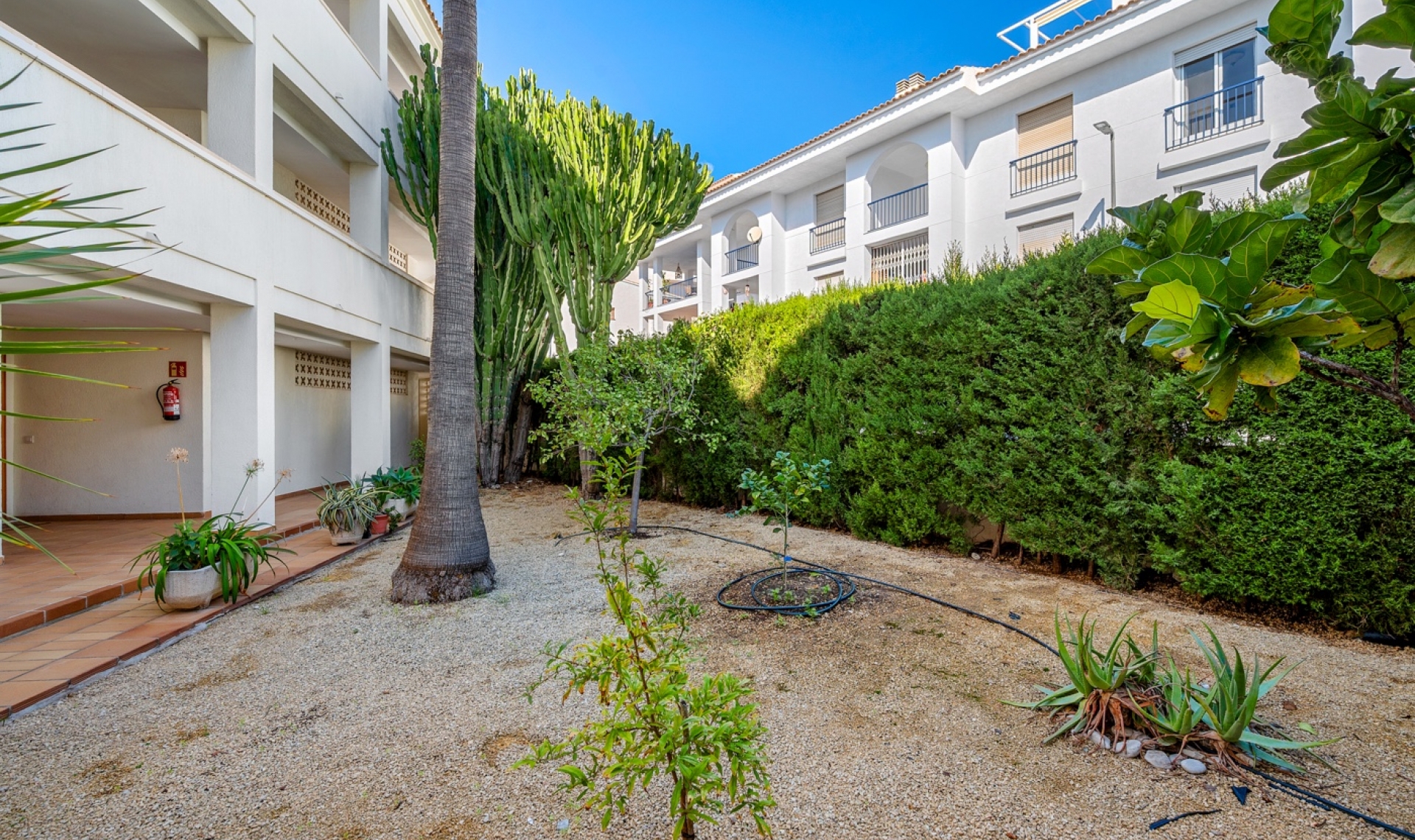 Resale - Apartment -
Altea