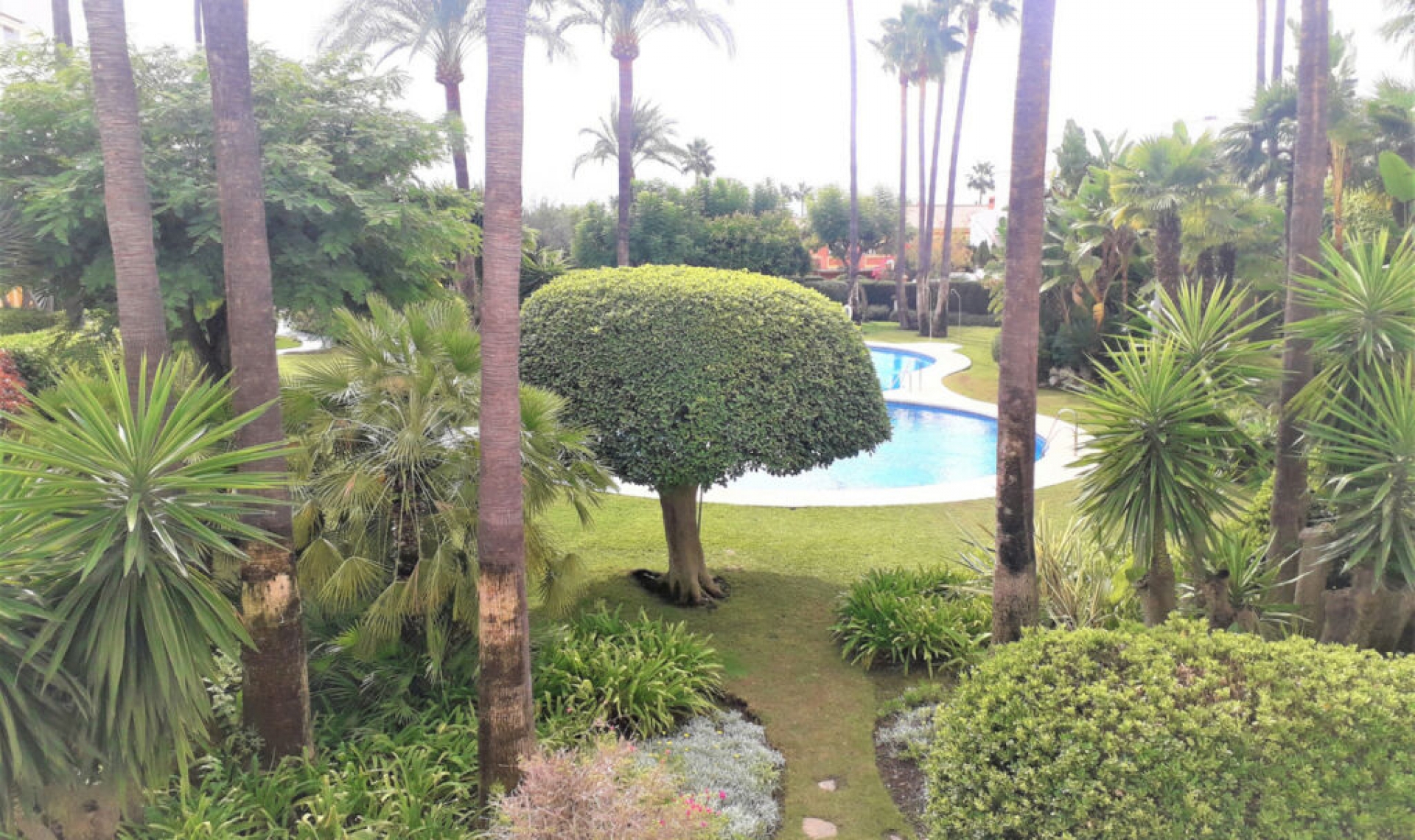 Resale - Apartment -
Atalaya