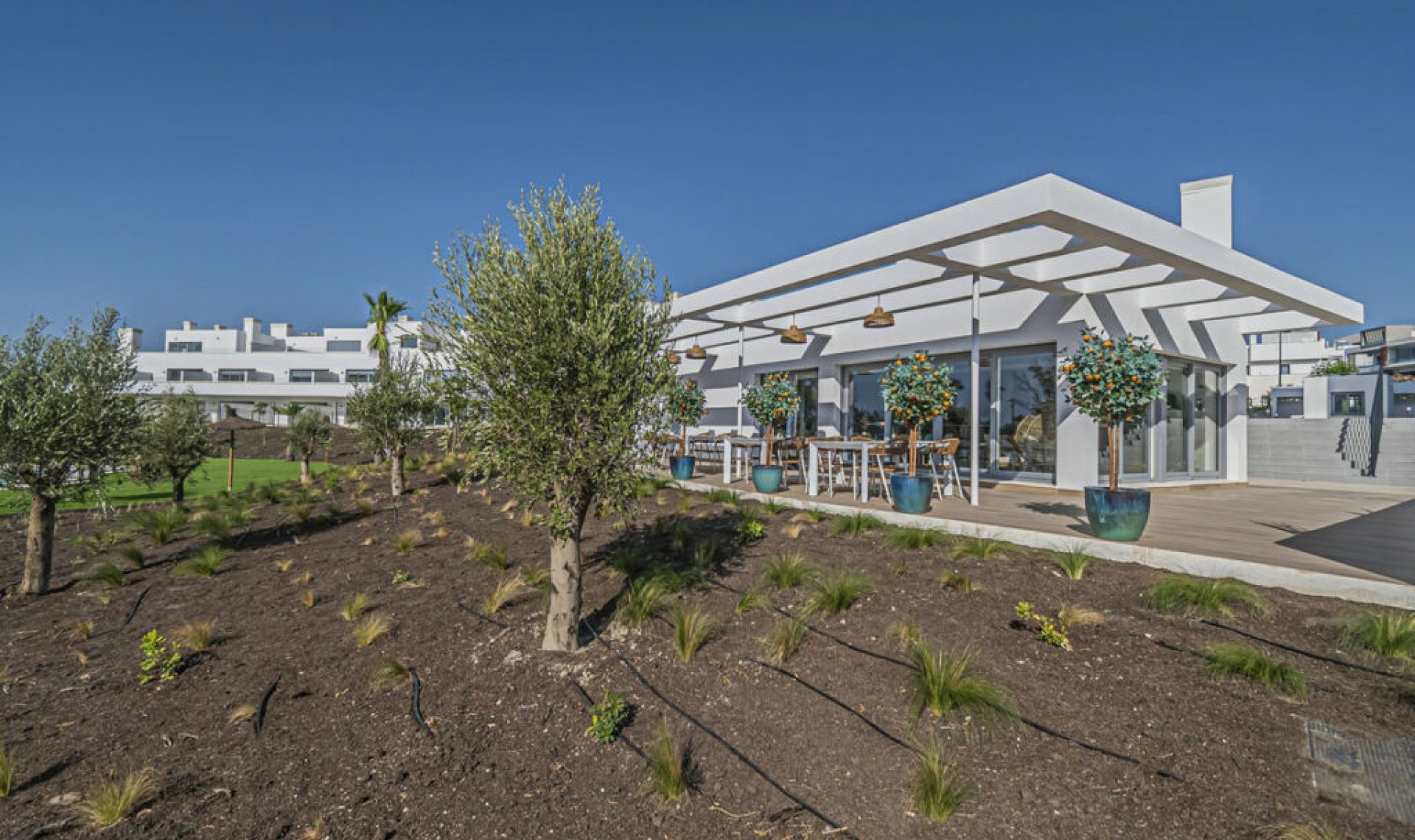 Resale - Apartment -
Bel Air