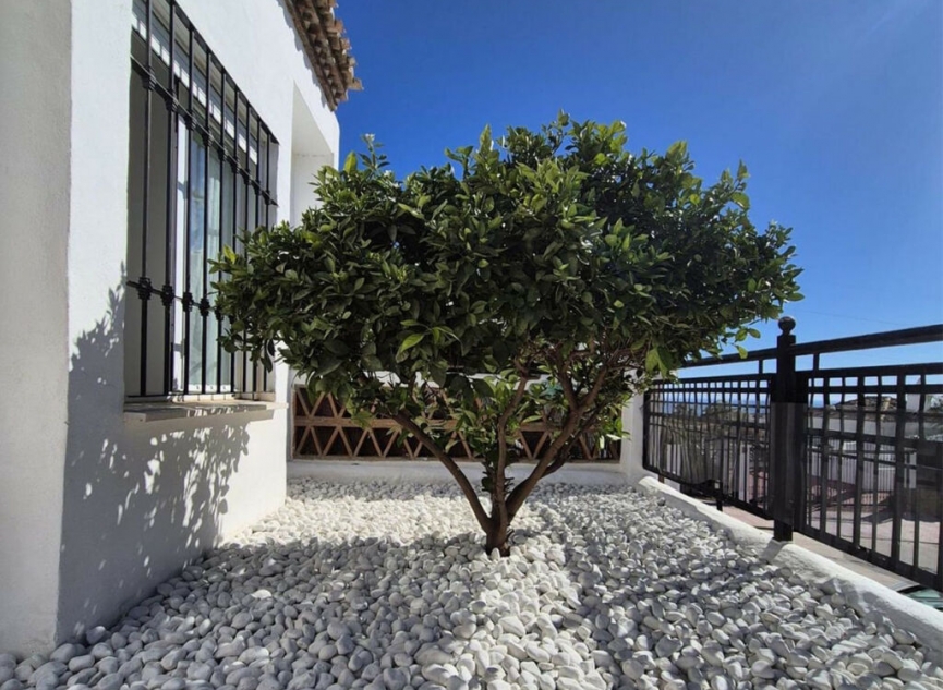 Resale - Apartment -
Benalmadena