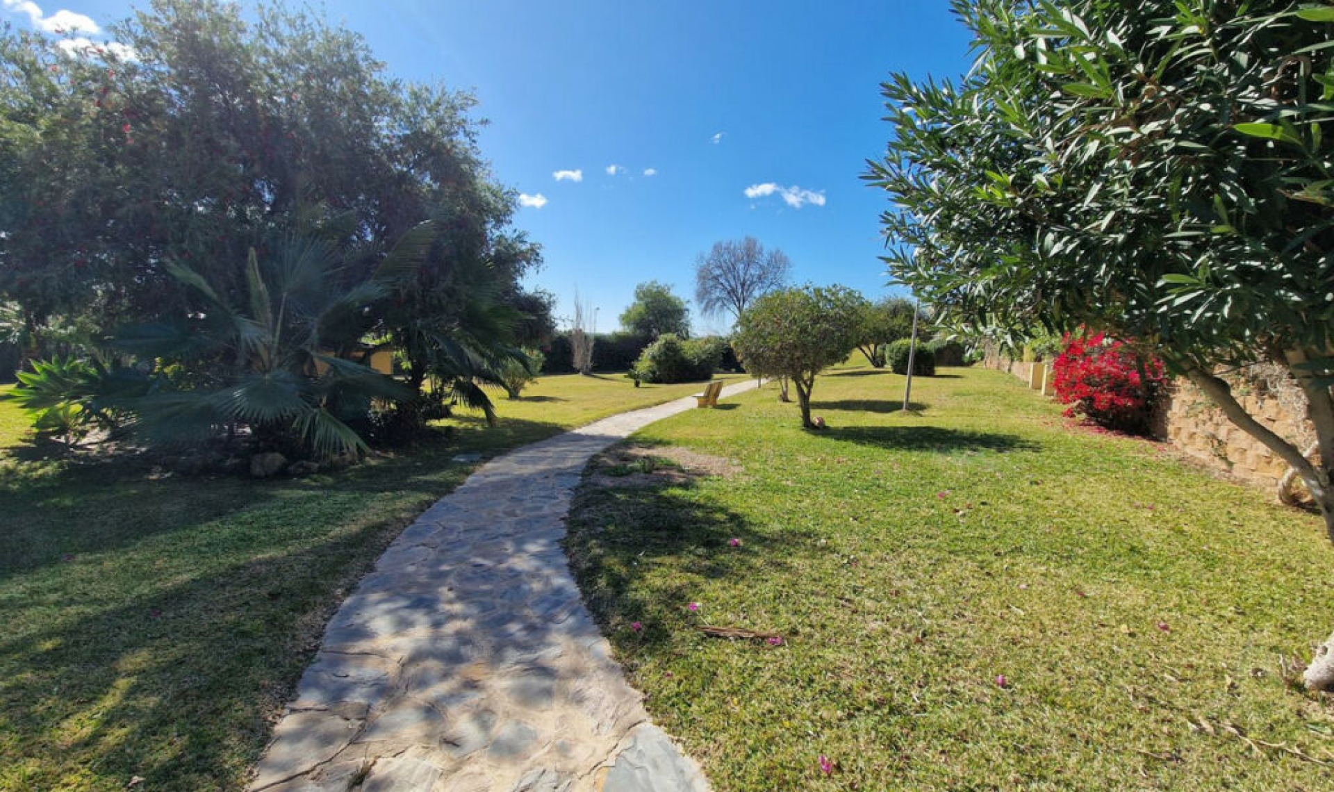 Resale - Apartment -
Cabopino