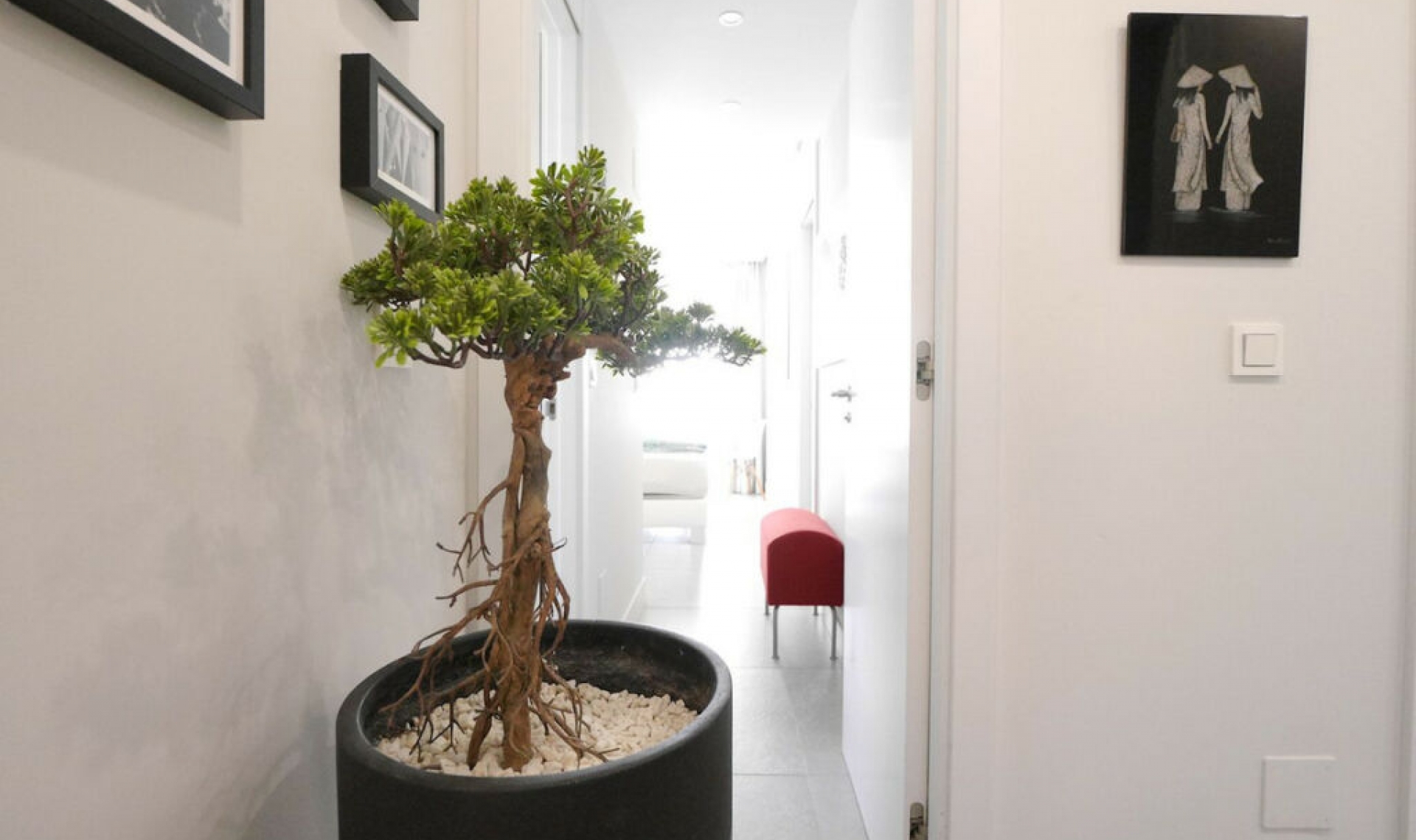 Resale - Apartment -
Cabopino