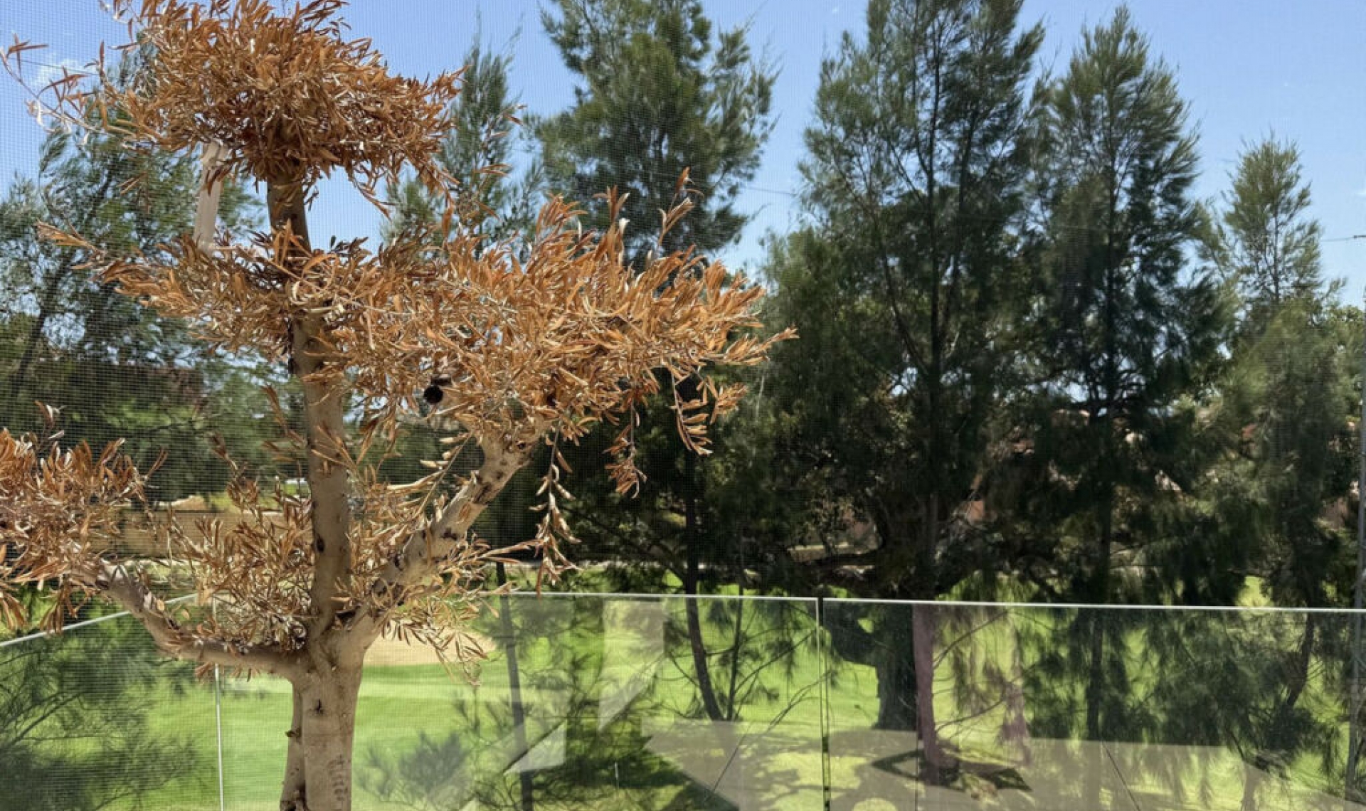 Resale - Apartment -
Cabopino