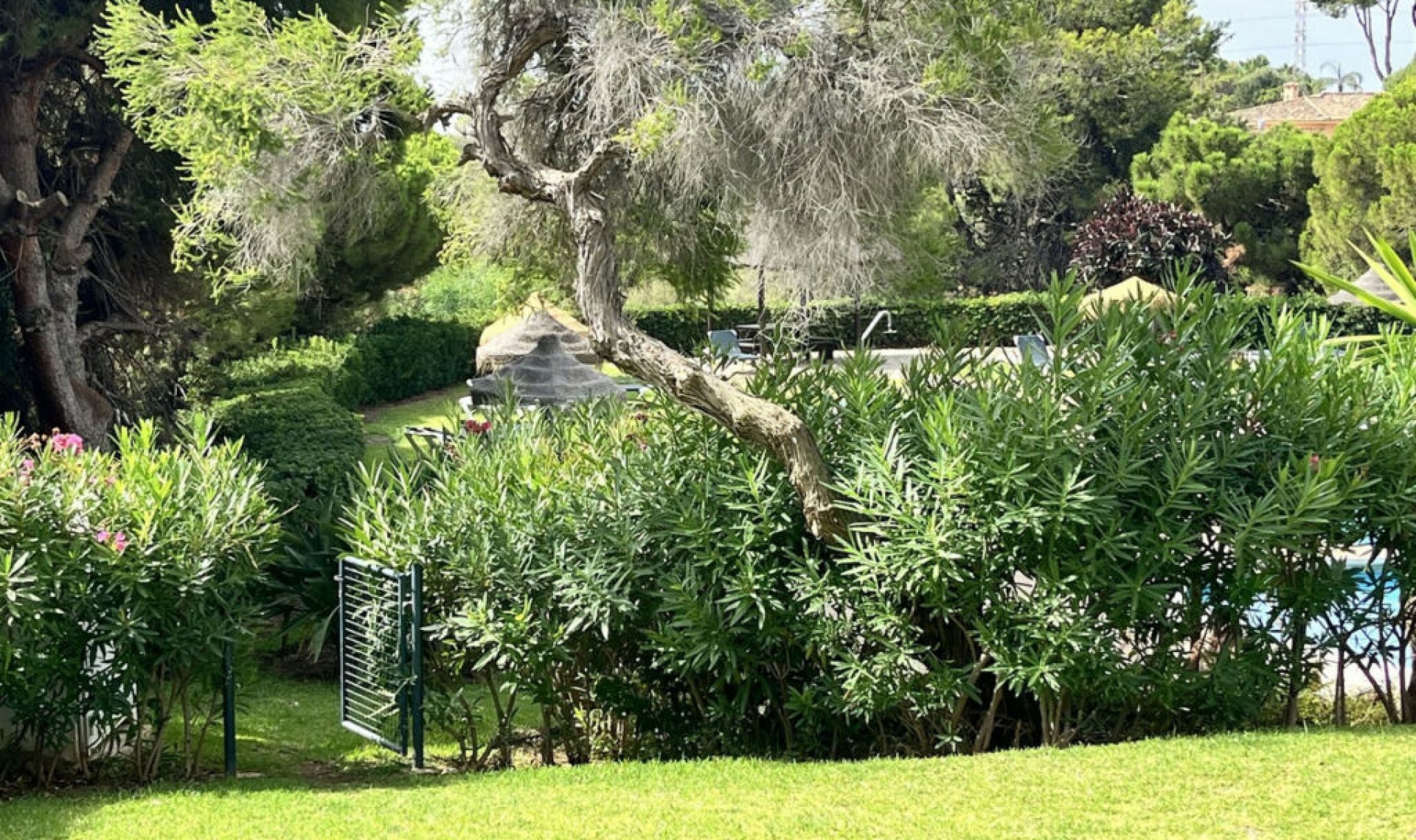 Resale - Apartment -
Calahonda