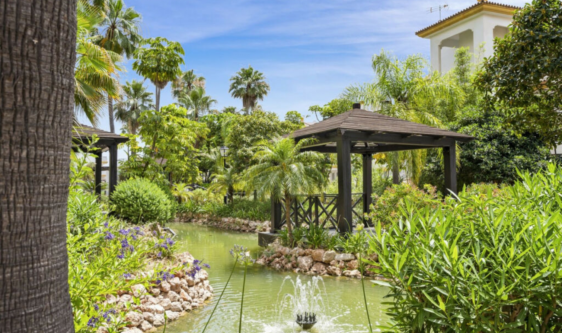 Resale - Apartment -
Calanova Golf