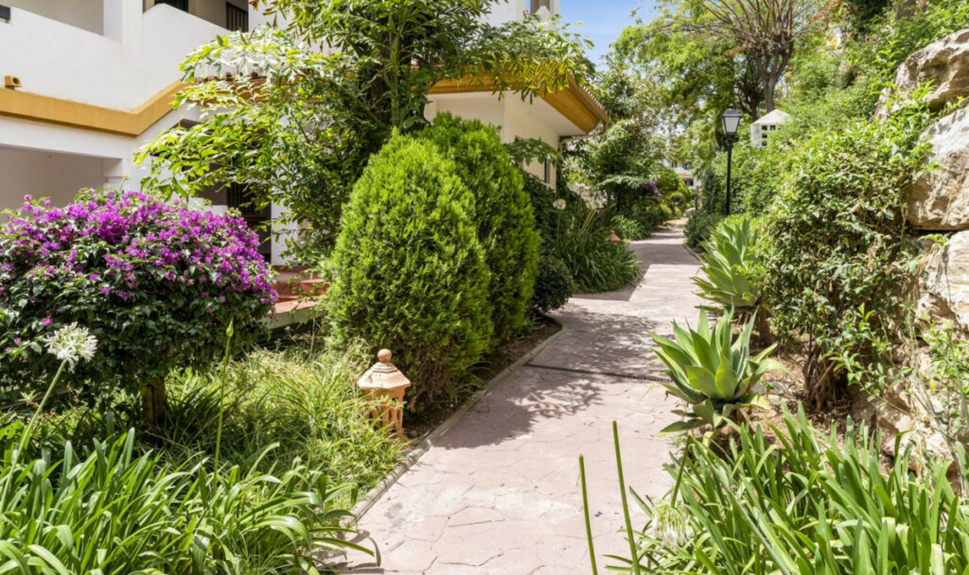 Resale - Apartment -
Calanova Golf