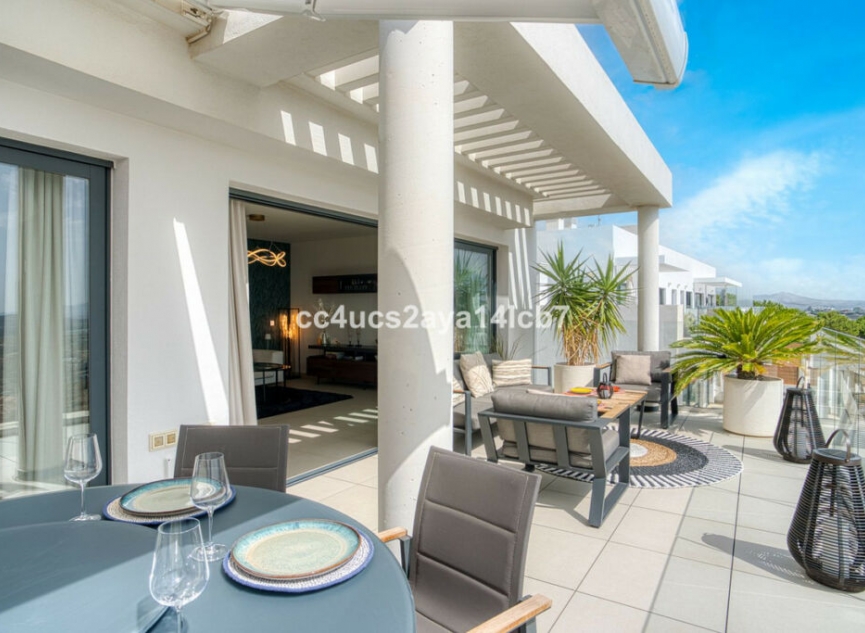 Resale - Apartment -
Calanova Golf