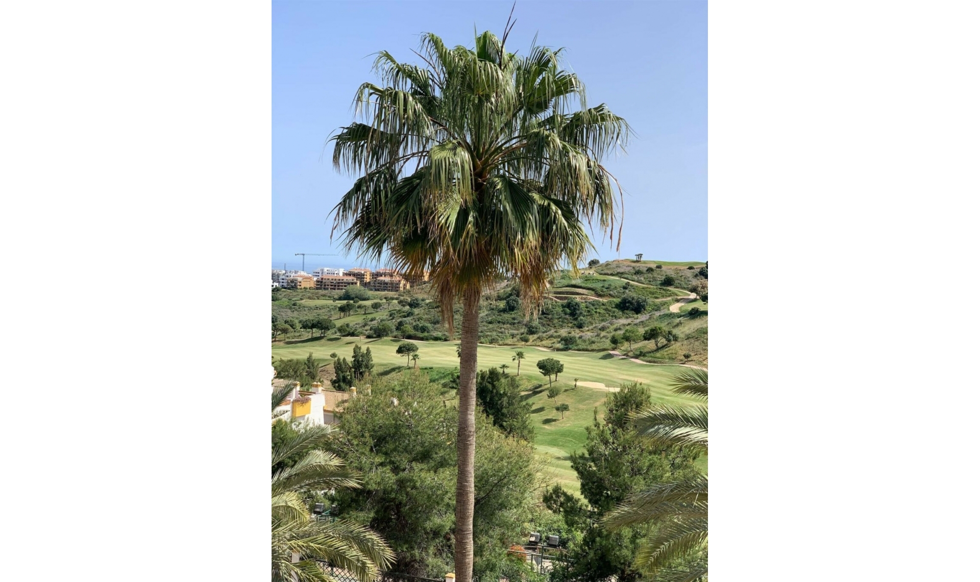 Resale - Apartment -
Calanova Golf