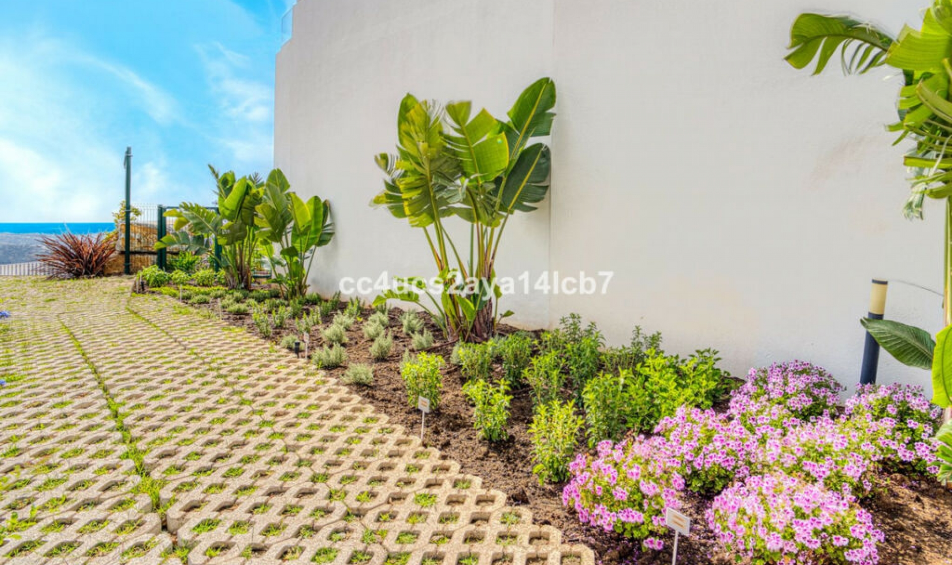 Resale - Apartment -
Calanova Golf