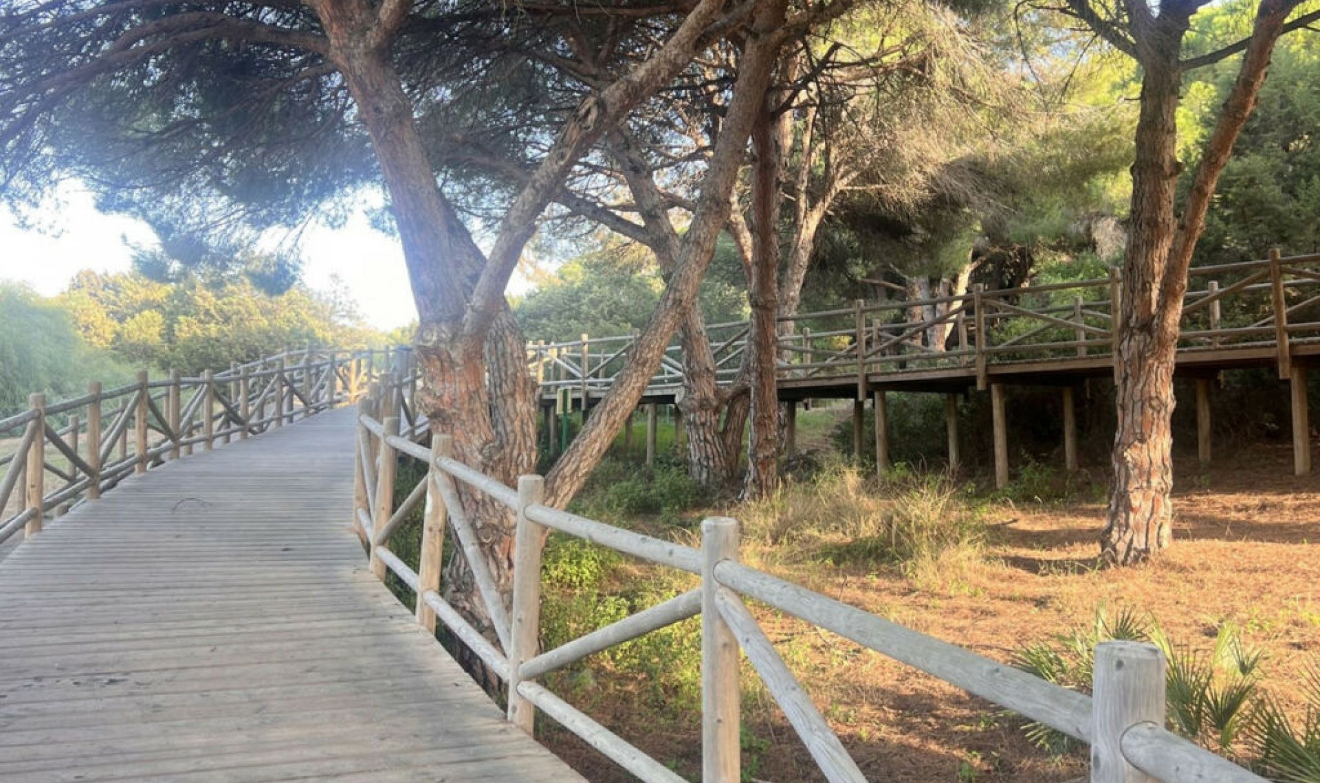 Resale - Apartment -
Carib Playa