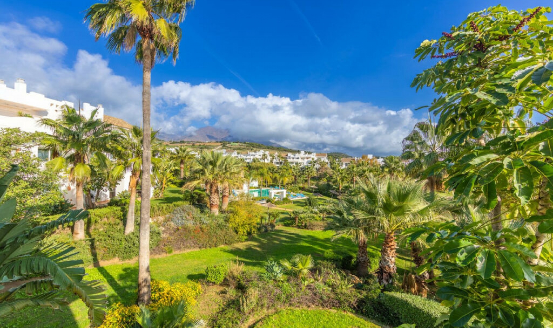 Resale - Apartment -
Casares Playa