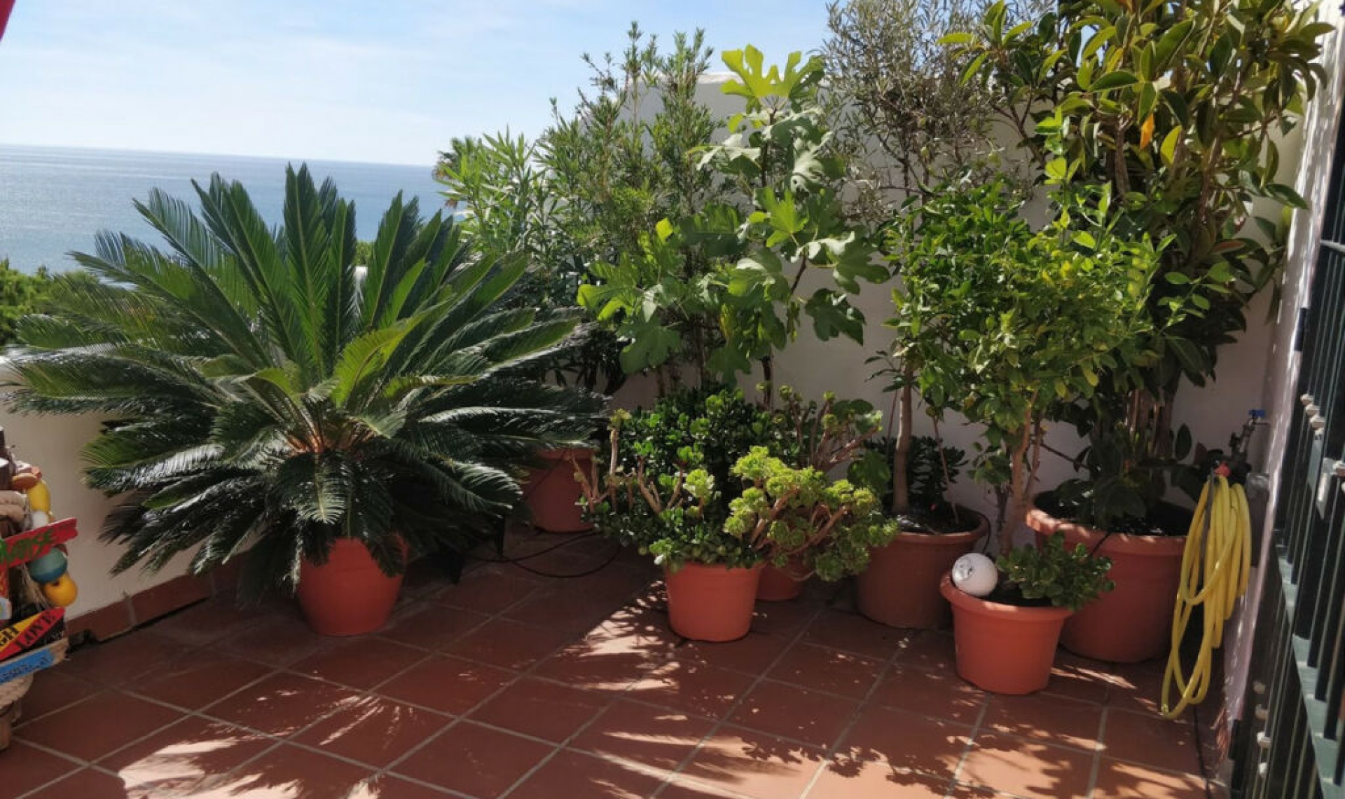 Resale - Apartment -
Casares Playa