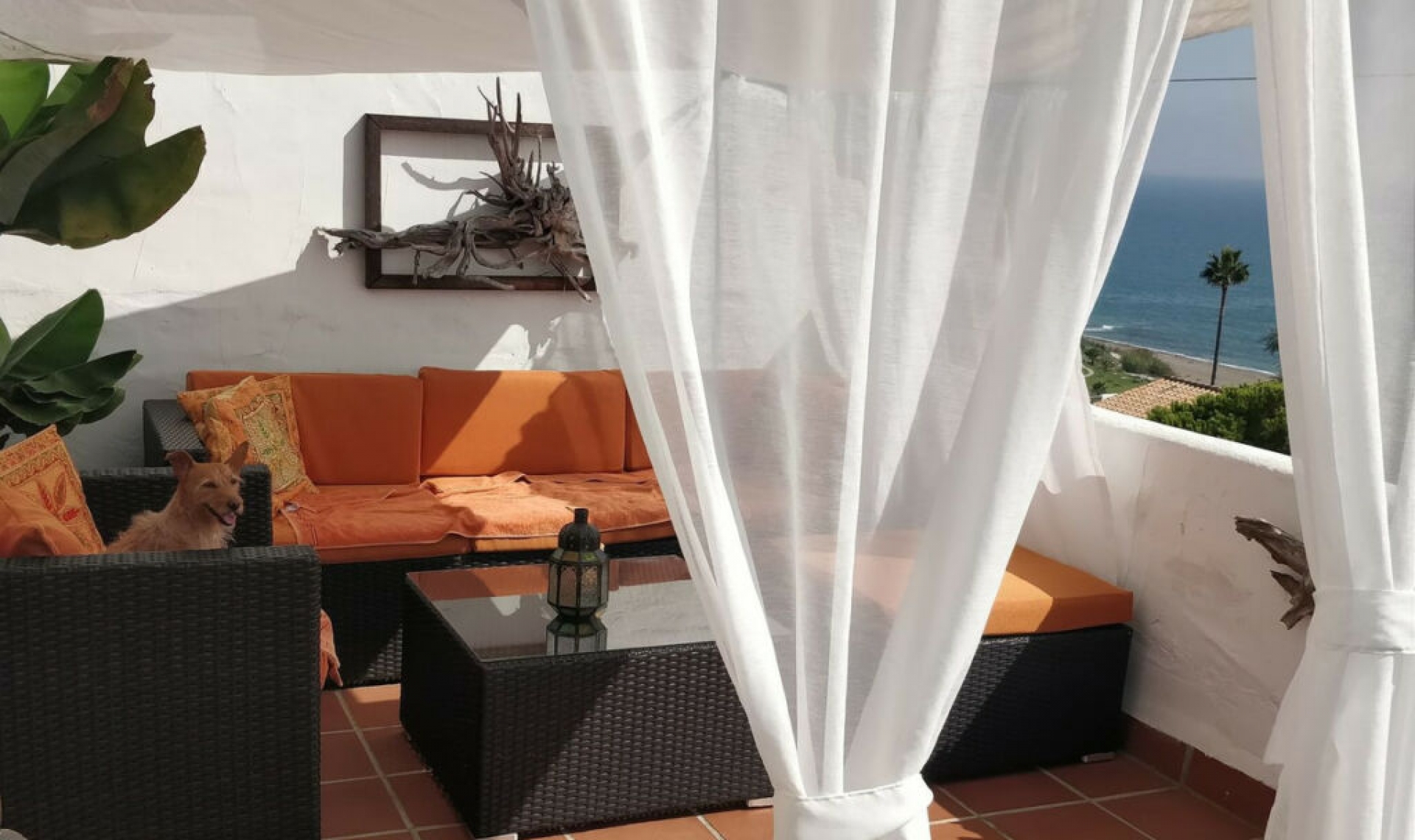 Resale - Apartment -
Casares Playa