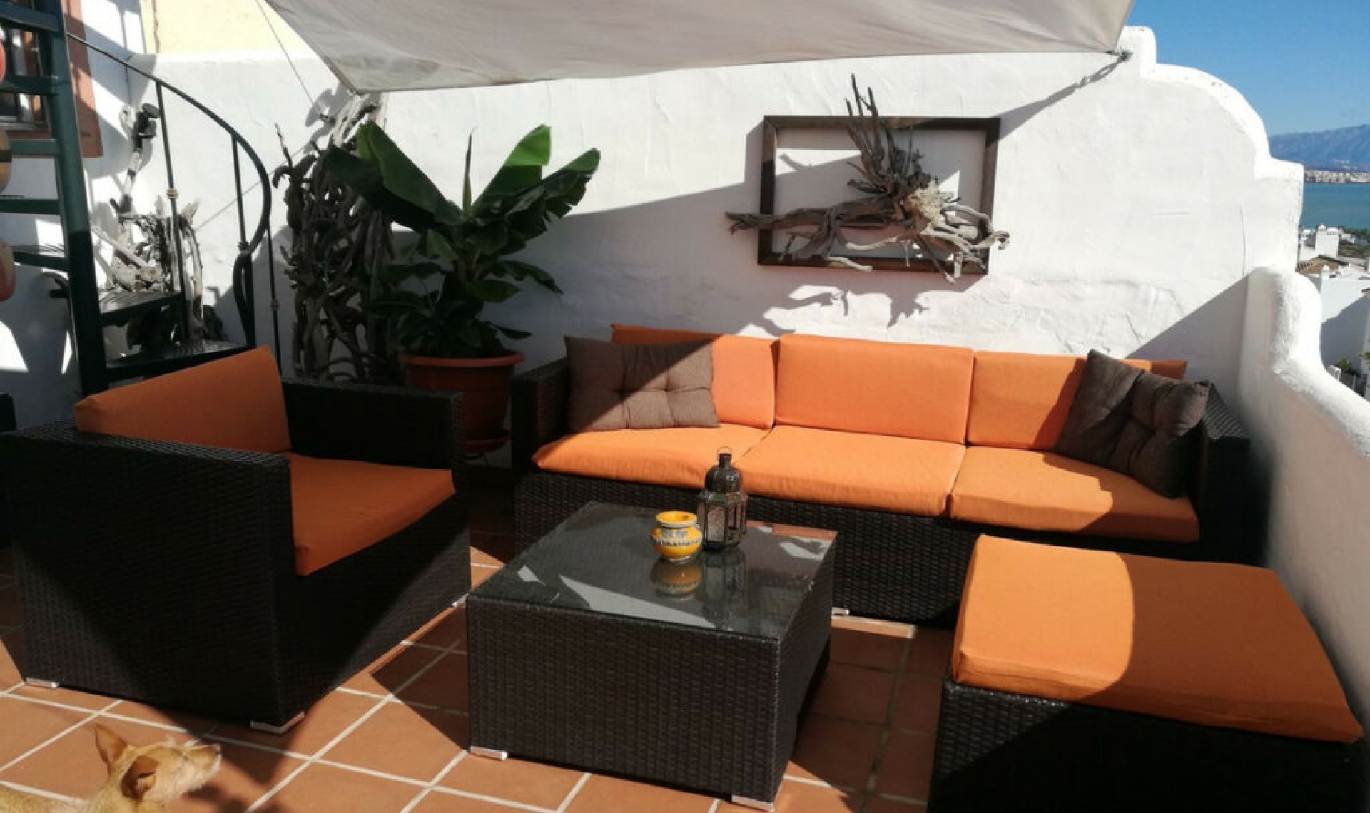 Resale - Apartment -
Casares Playa