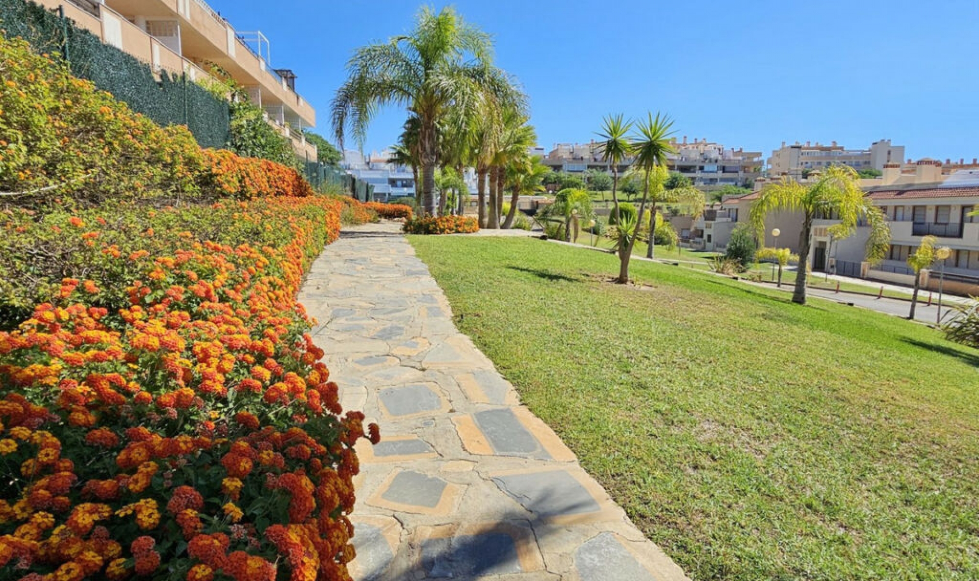 Resale - Apartment -
Casares Playa