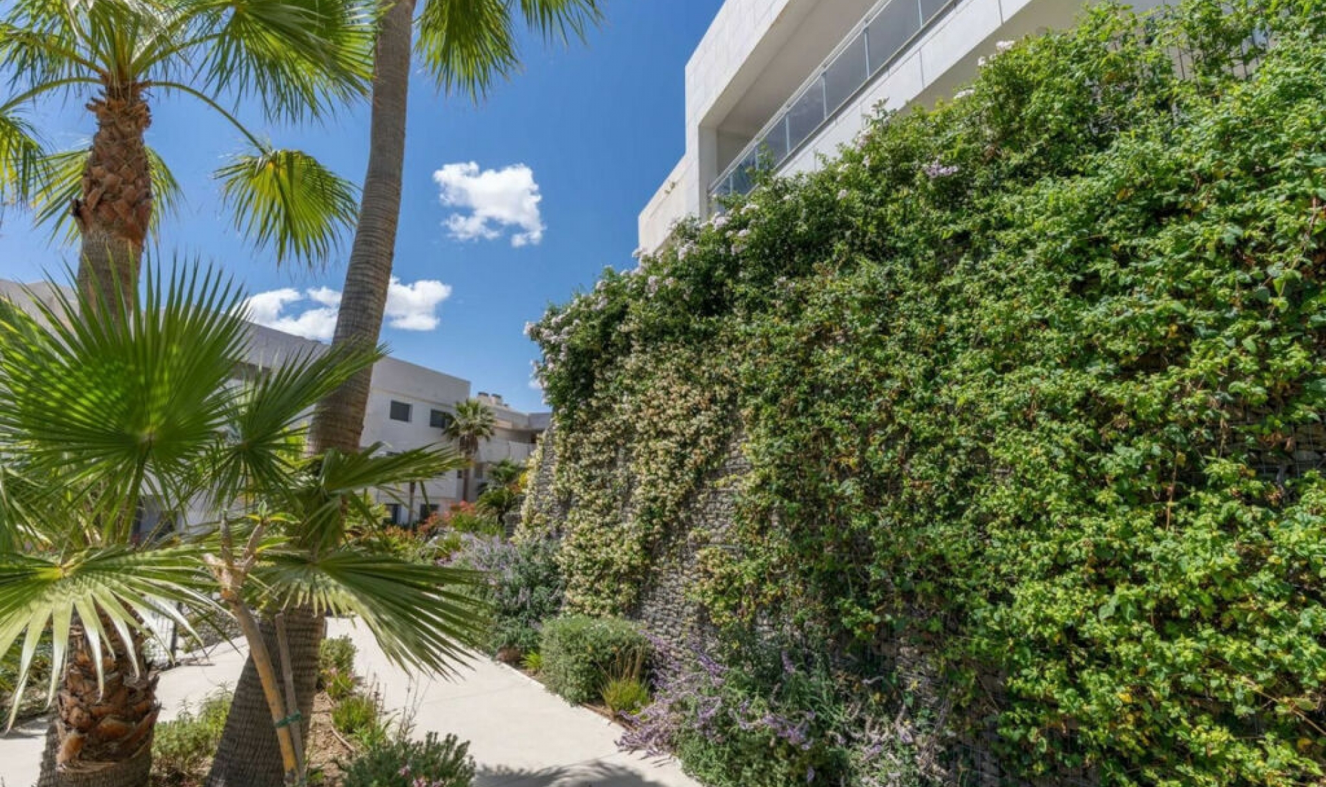 Resale - Apartment -
Casares