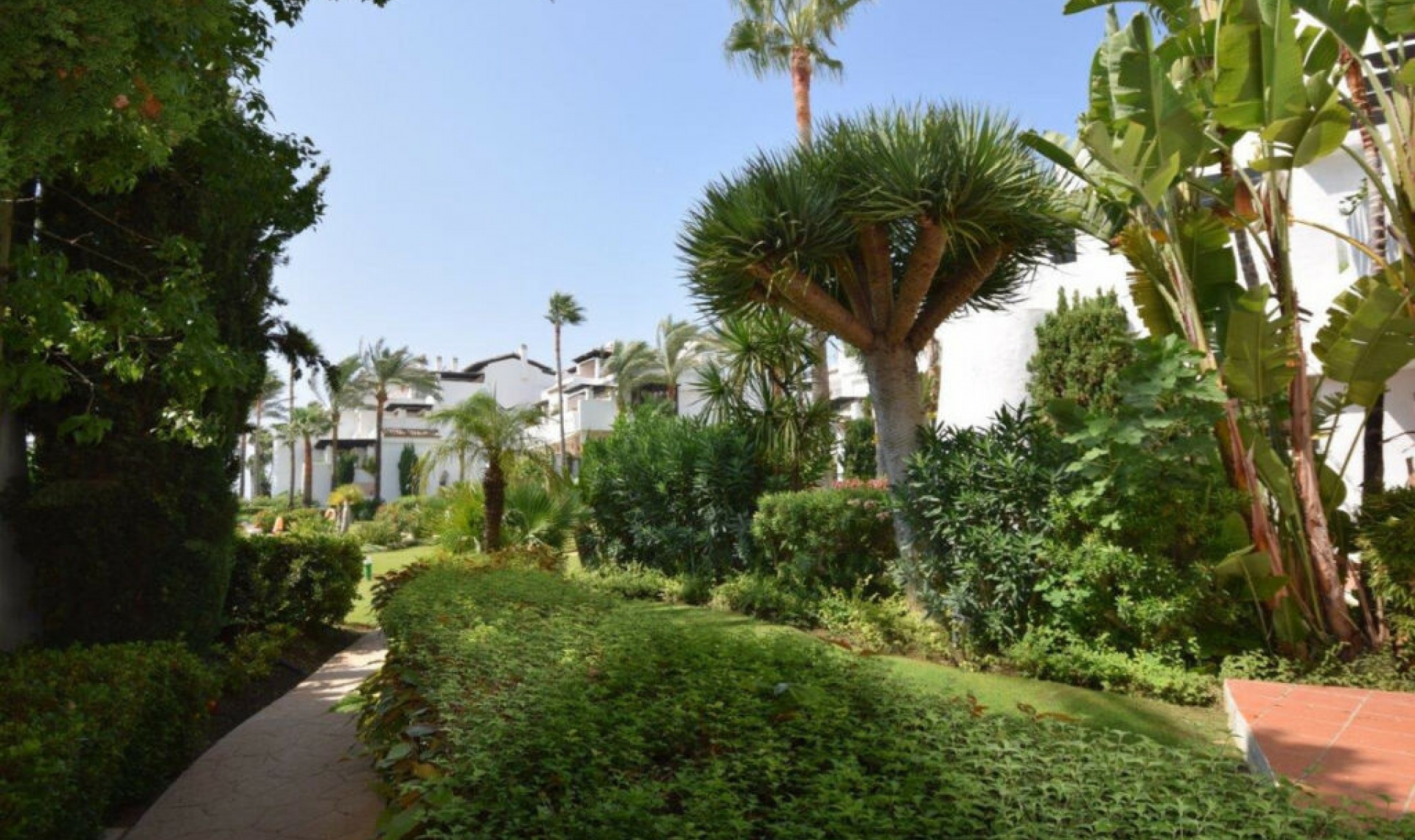 Resale - Apartment -
Costalita