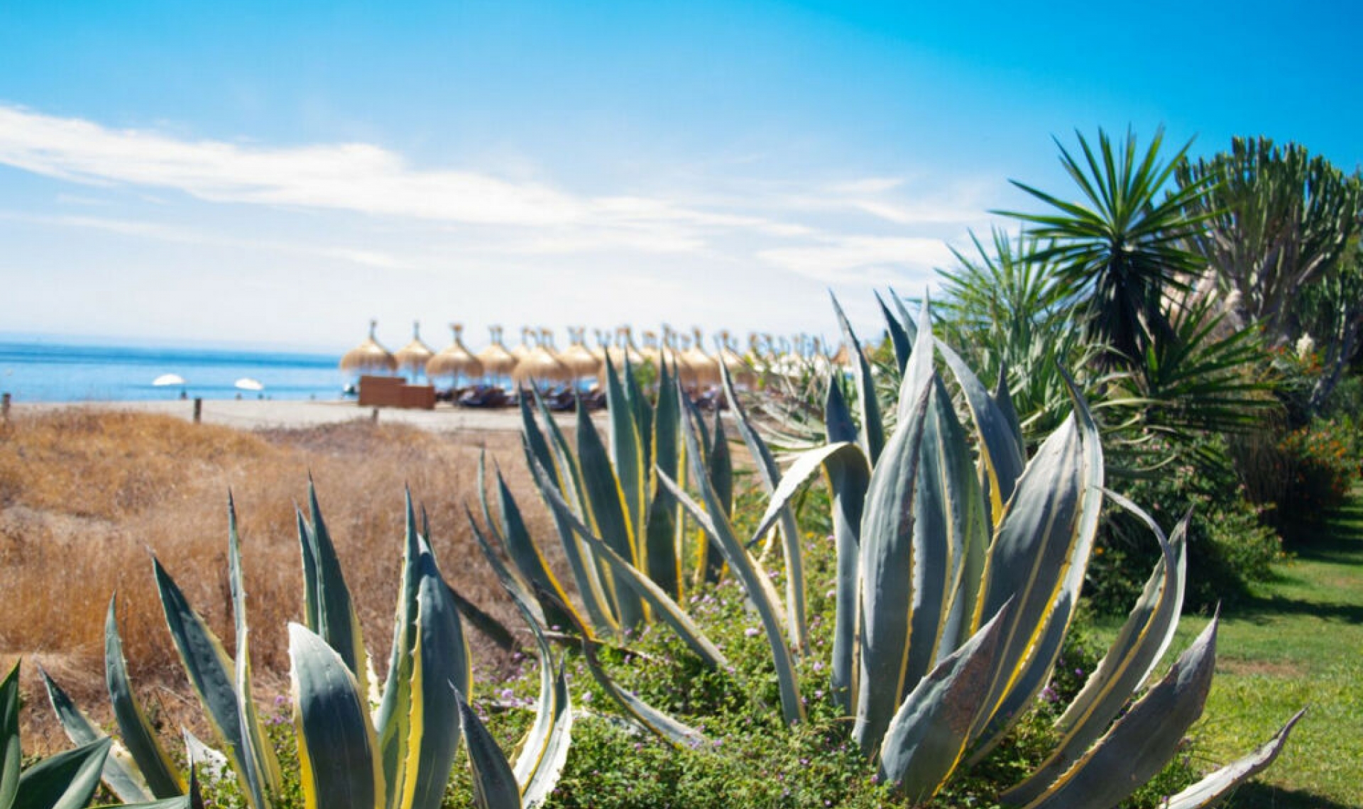 Resale - Apartment -
Costalita