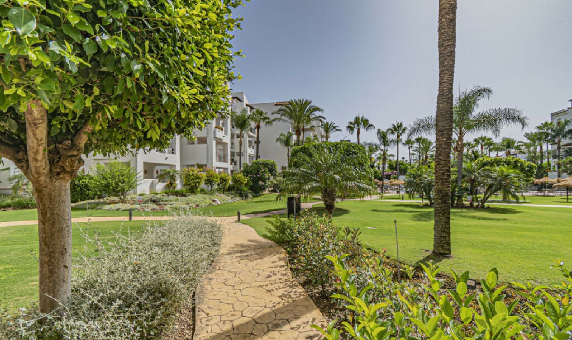 Resale - Apartment -
Costalita